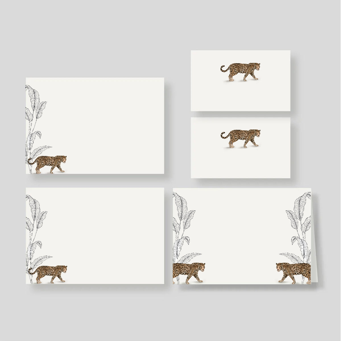 Caja Grande Flex Selva