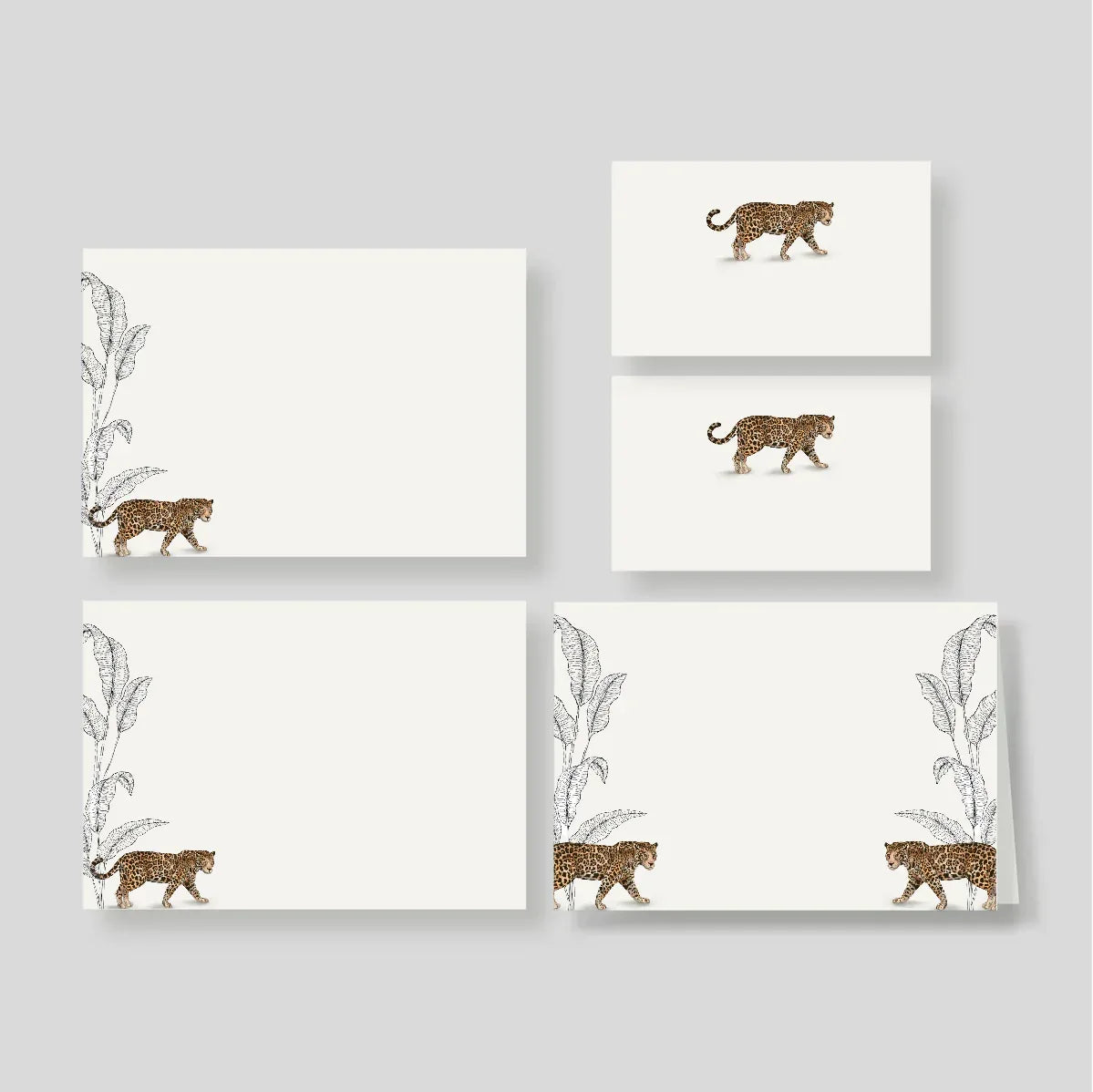 Caja Grande Flex Selva