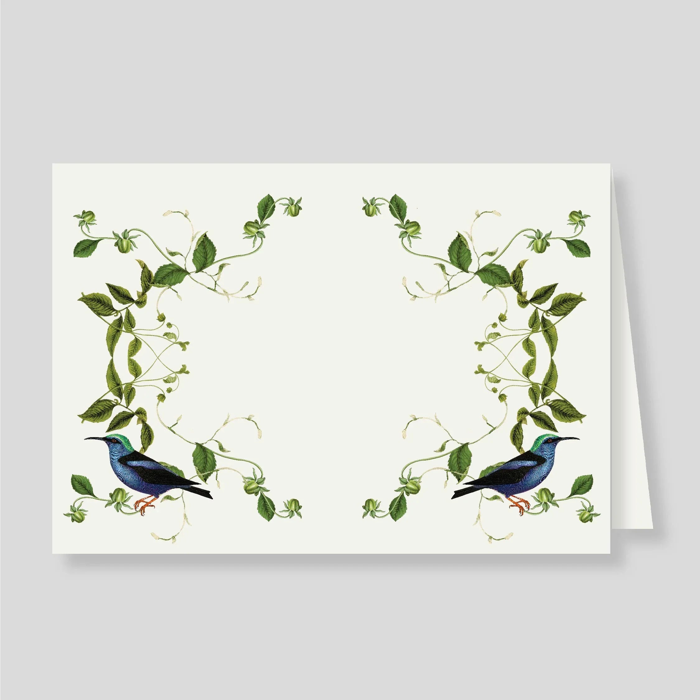 Tarjetón Doble Colibri