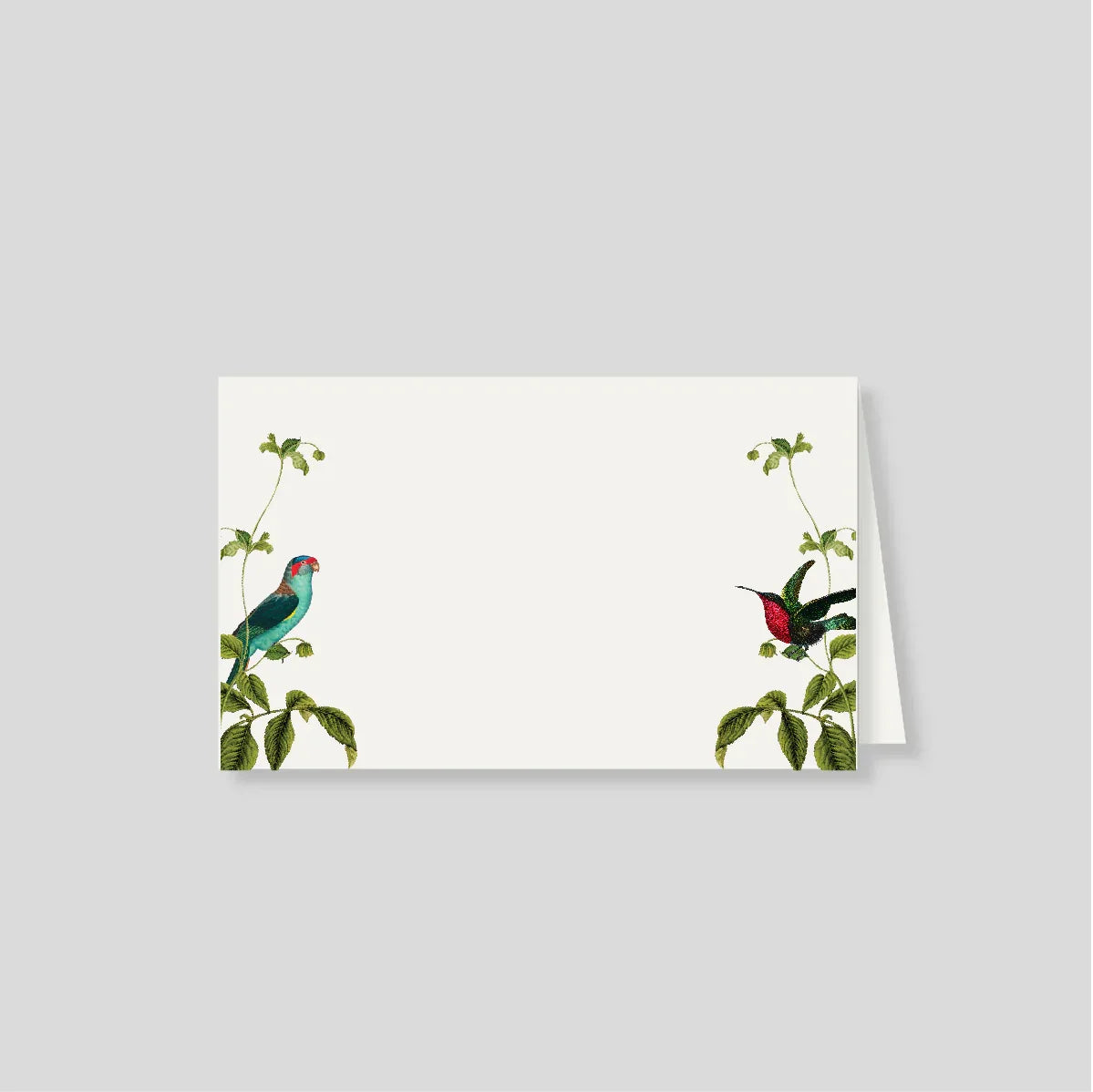 Notas dobles con sobre AVIARIO (listos para llevar)