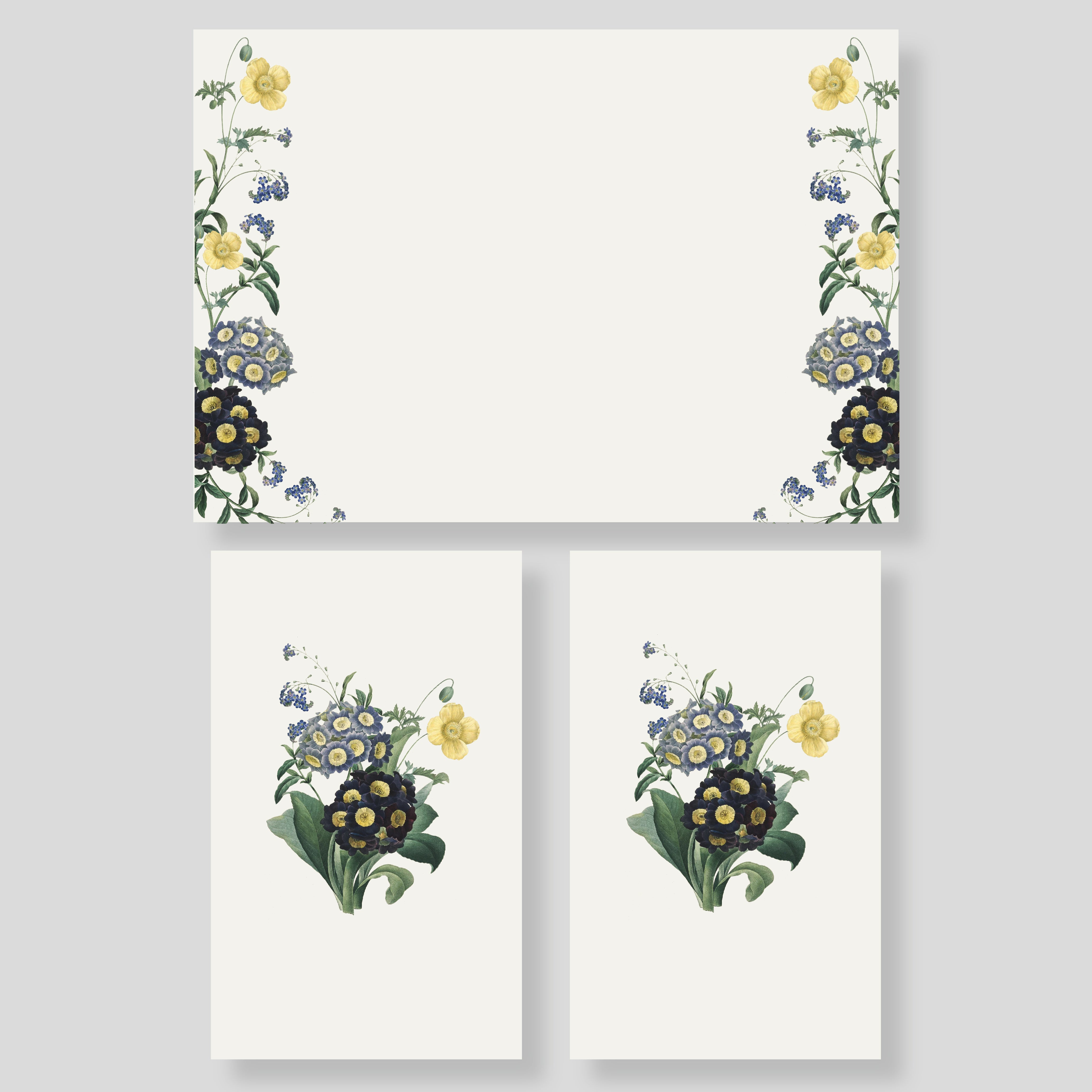 Caja Mediana Amazul (Vert)