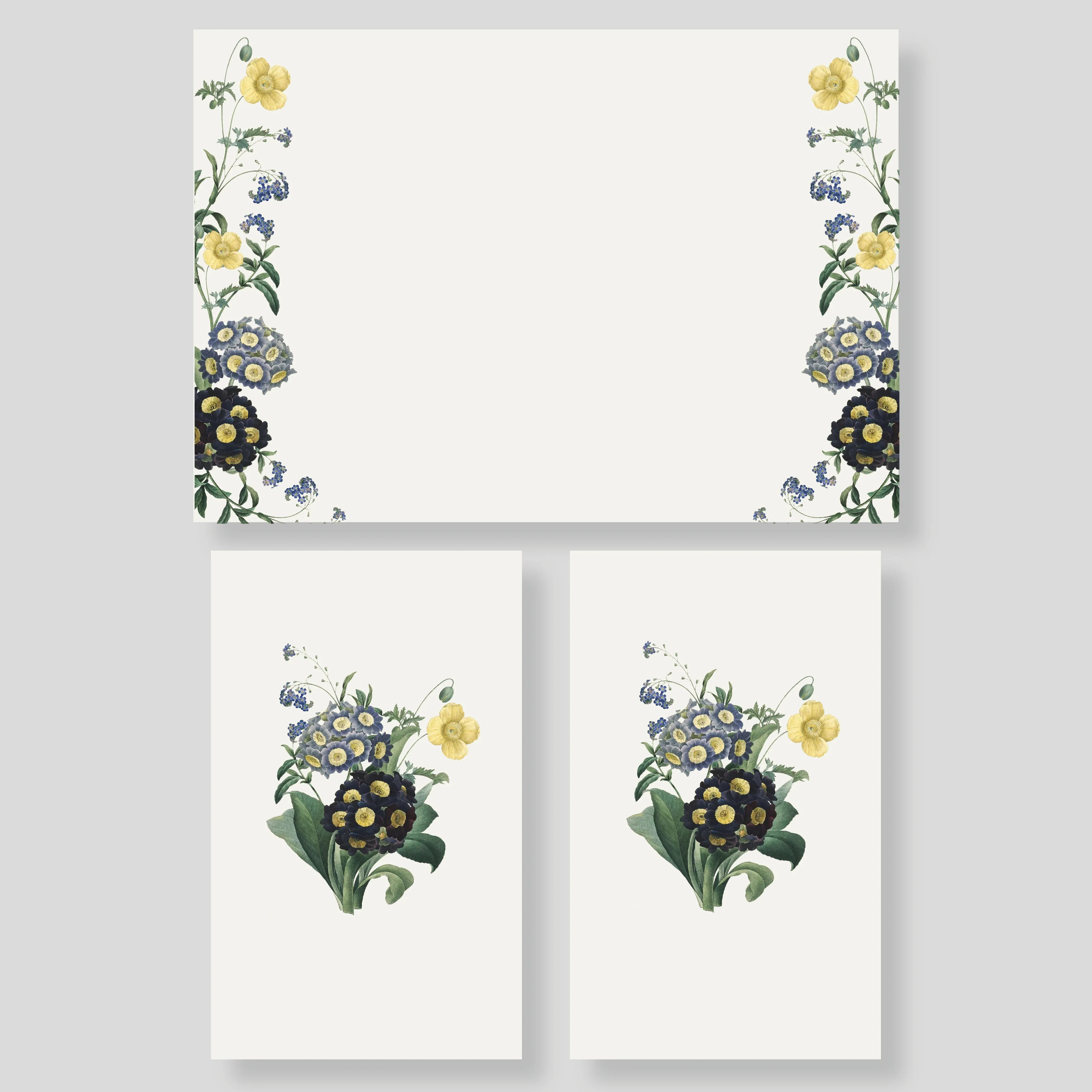 Caja Mediana Amazul (Vert)