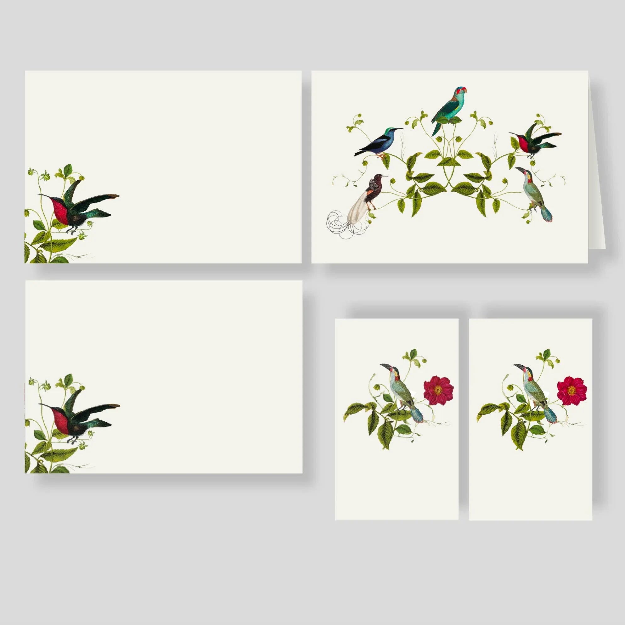 Caja Grande Flex Aviario