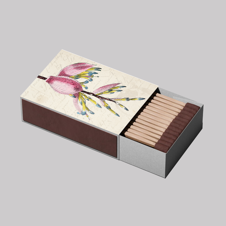 Caja de Fosforos Bromelia