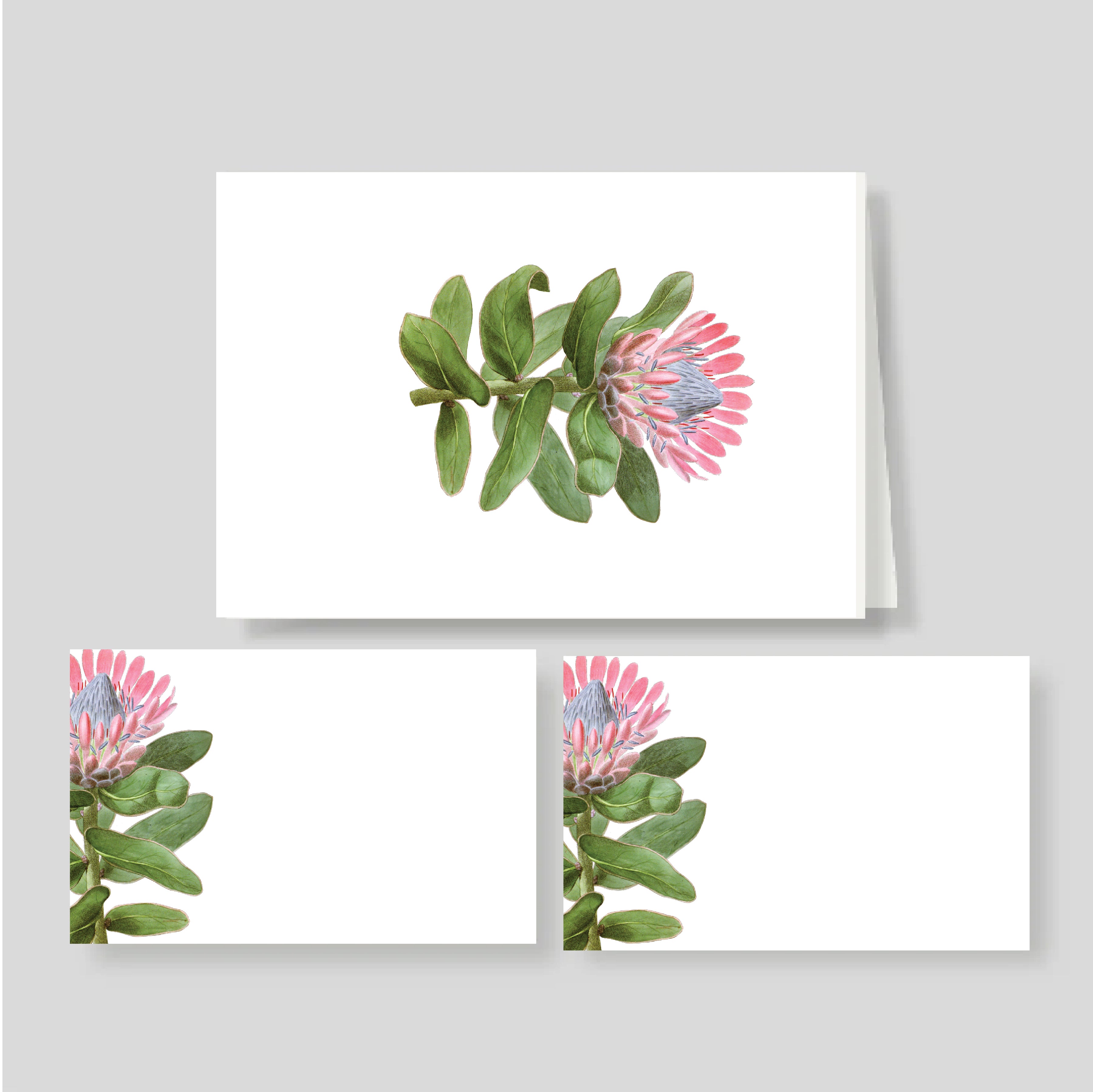 Caja Mediana Doble Protea (Horizontal)
