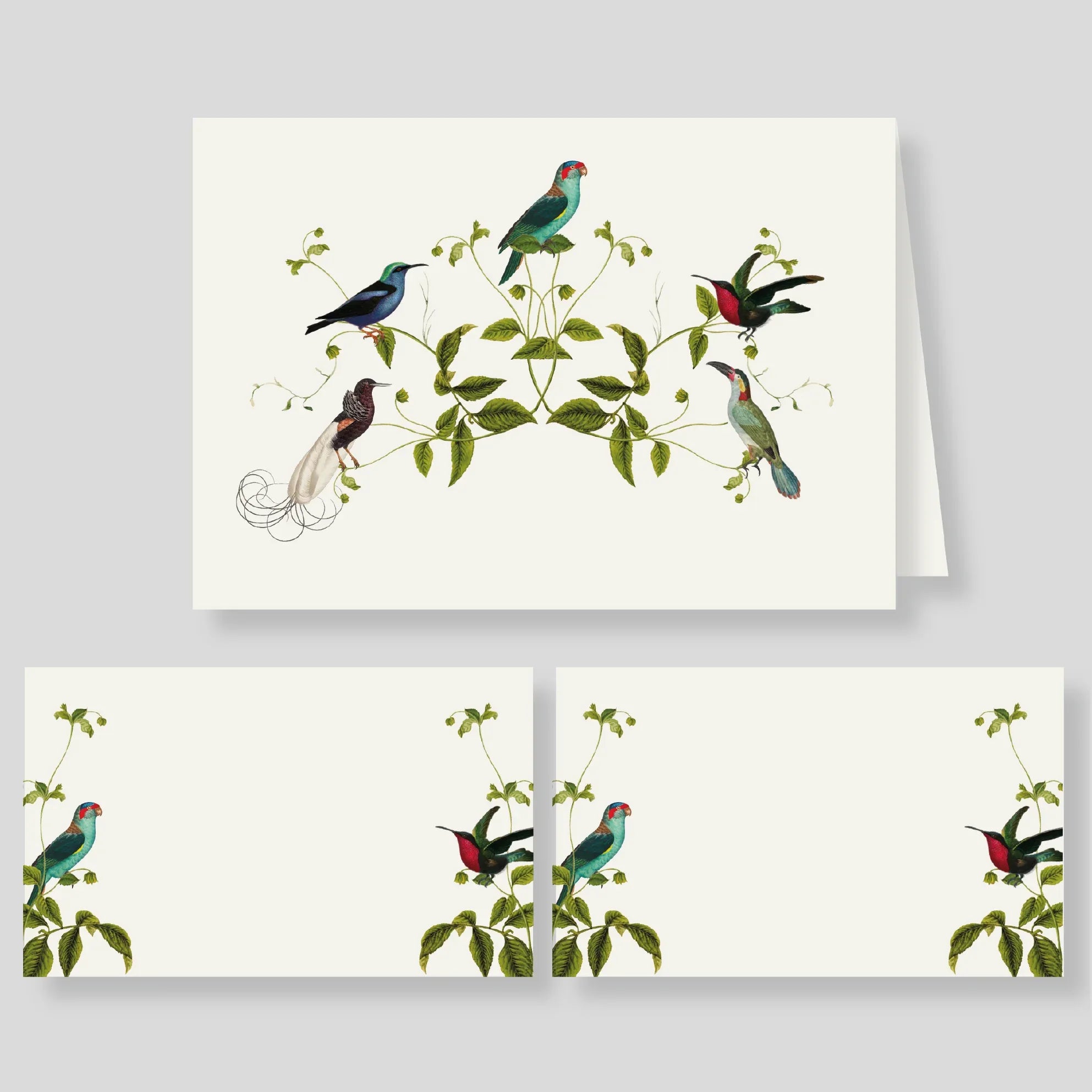 Caja Mediana Doble Aviario