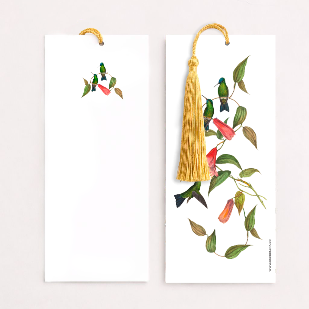 Registros / Folios Colibri