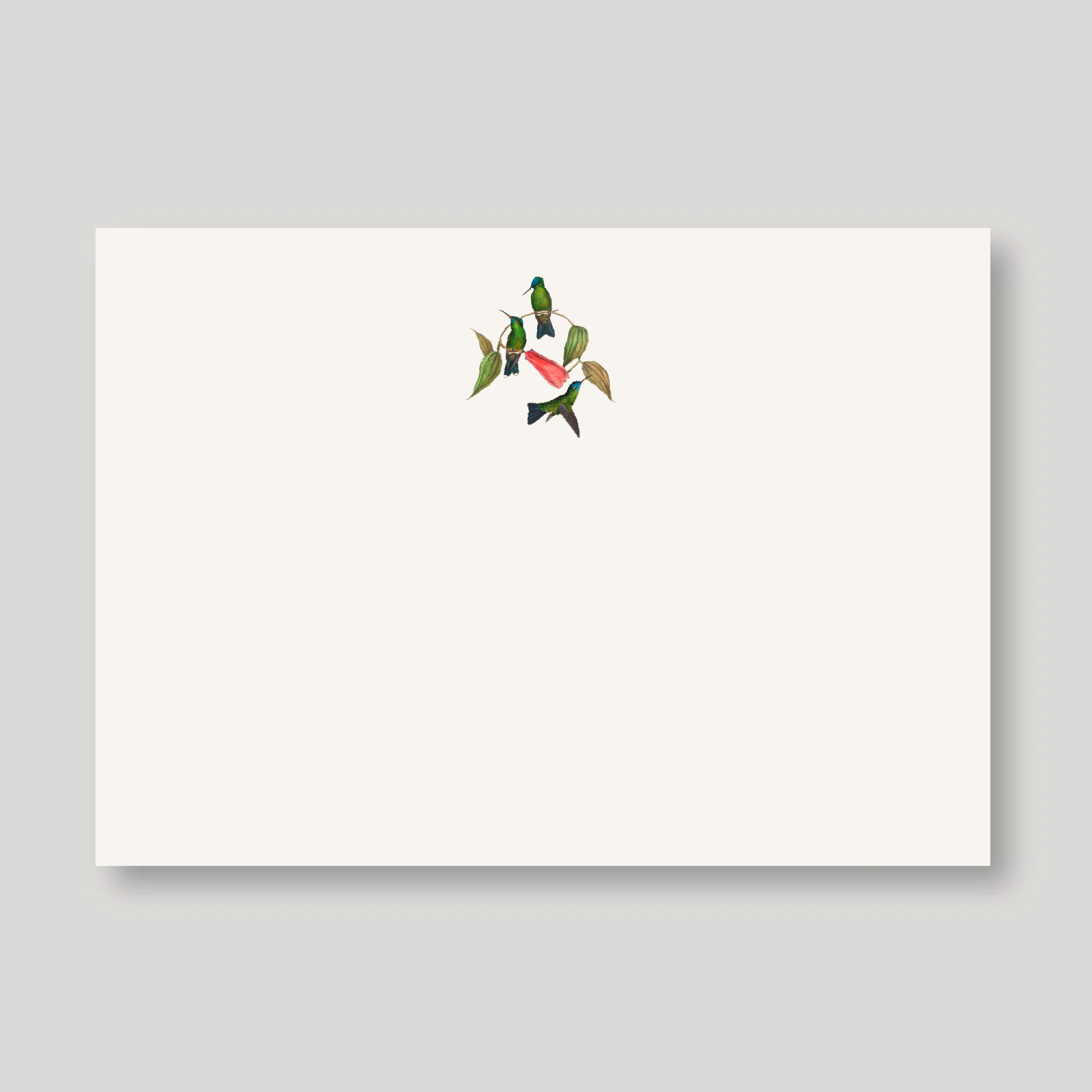 INVITACIONES COLIBRI