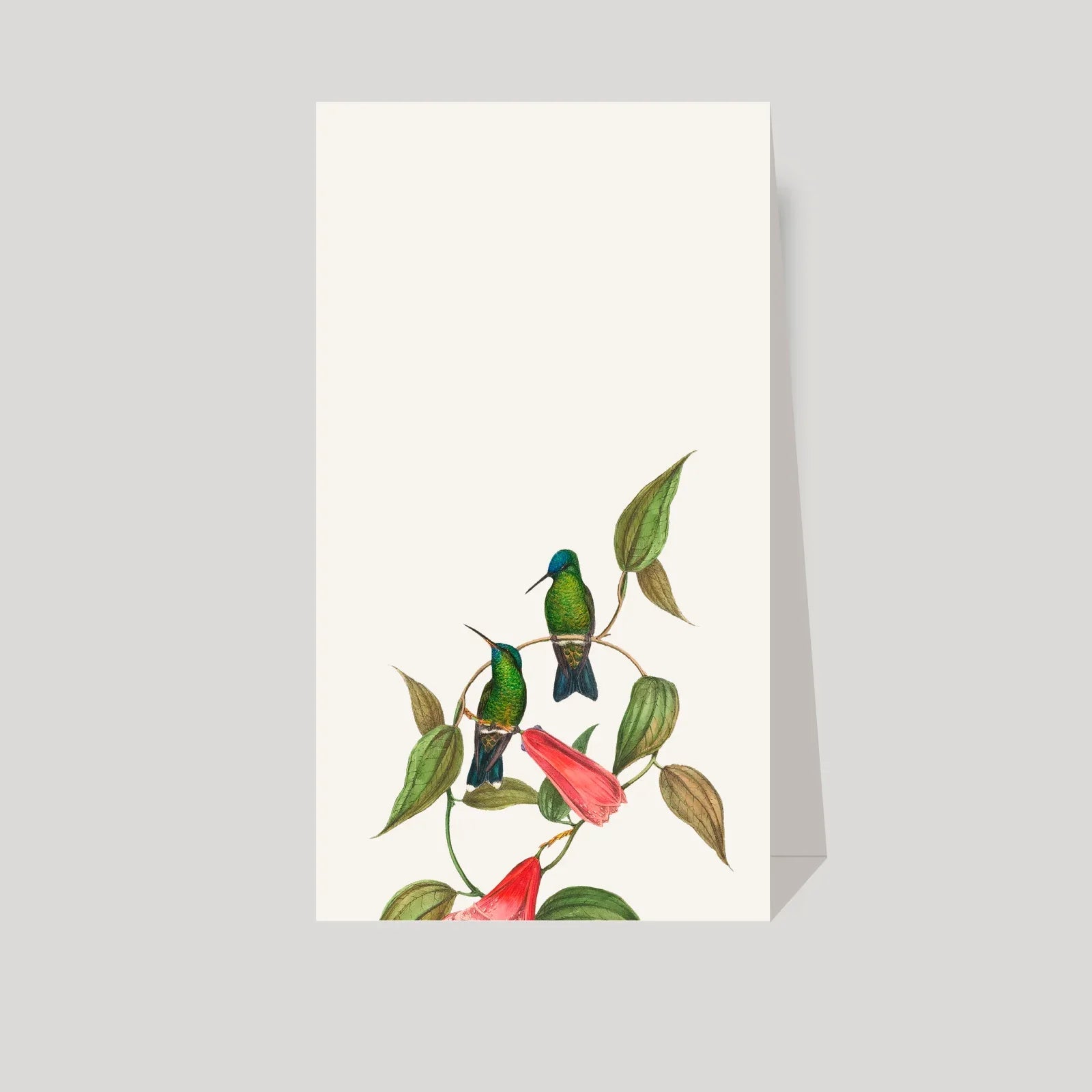 numeros de mesa COLIBRI