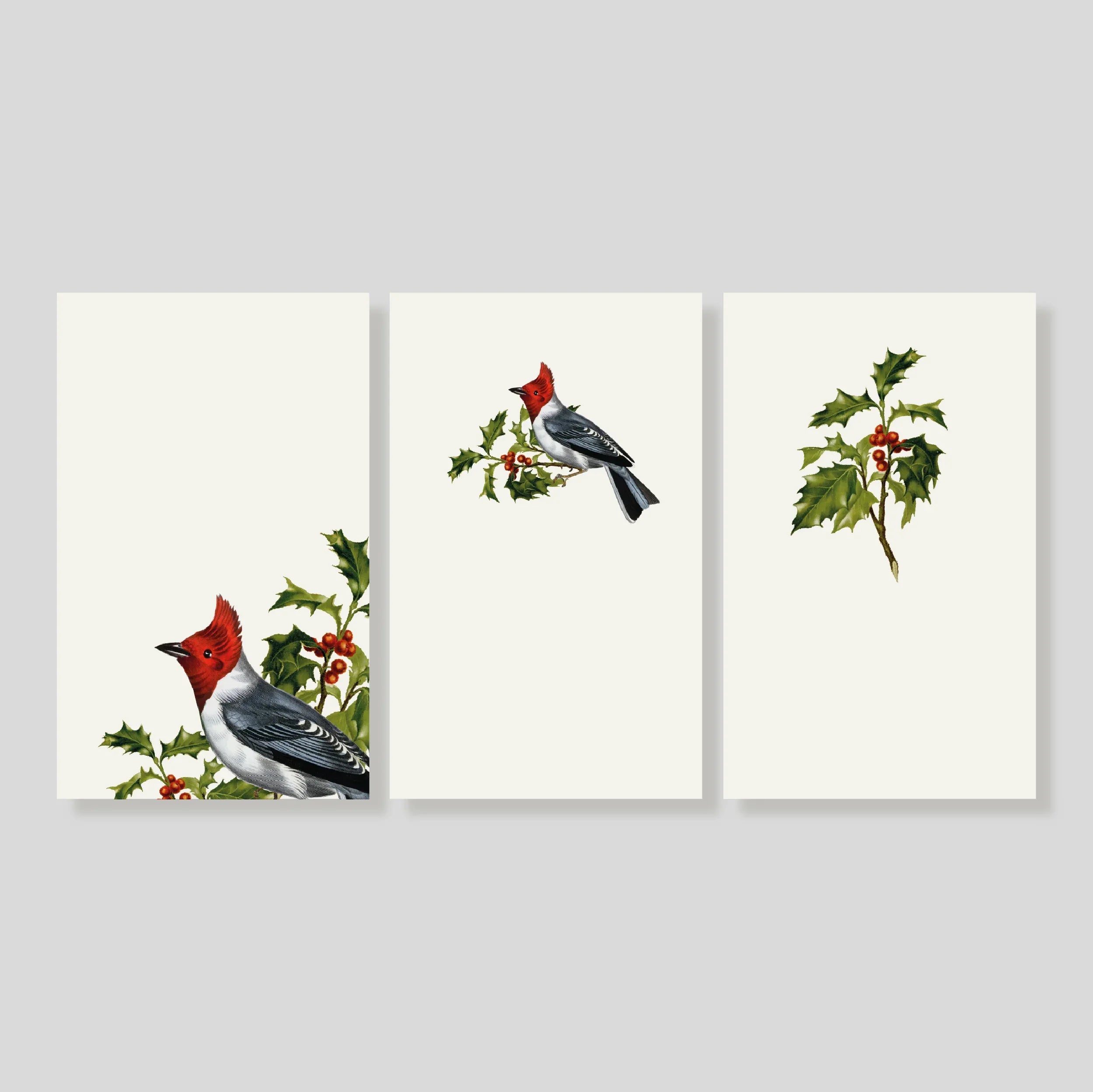 Tarjetas cardenal X-MAS