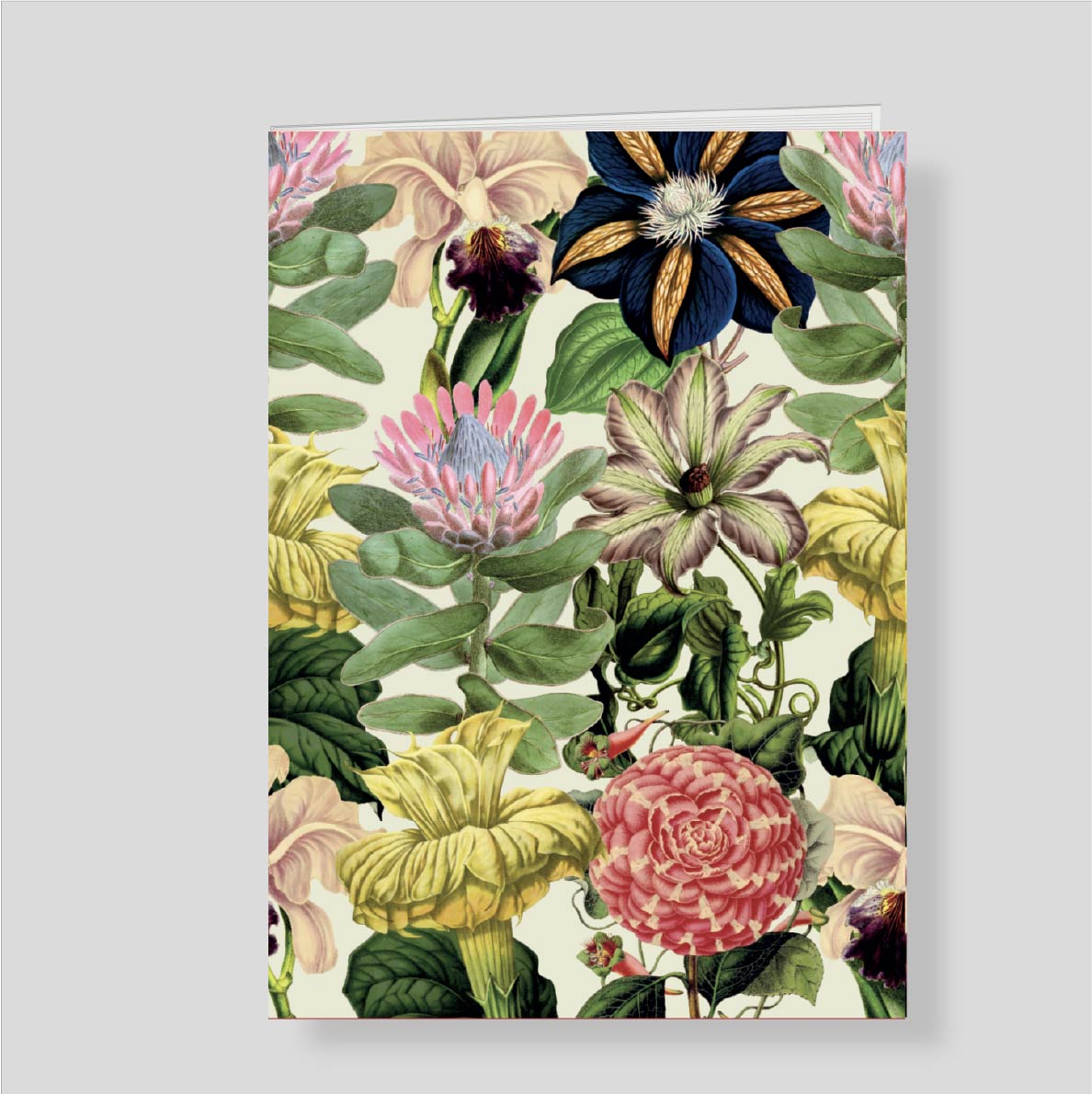 Cuaderno Protea Listo para llevar