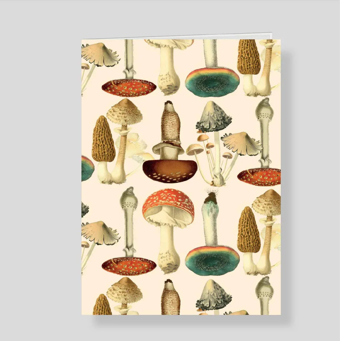 Cuaderno Mush Listo para llevar