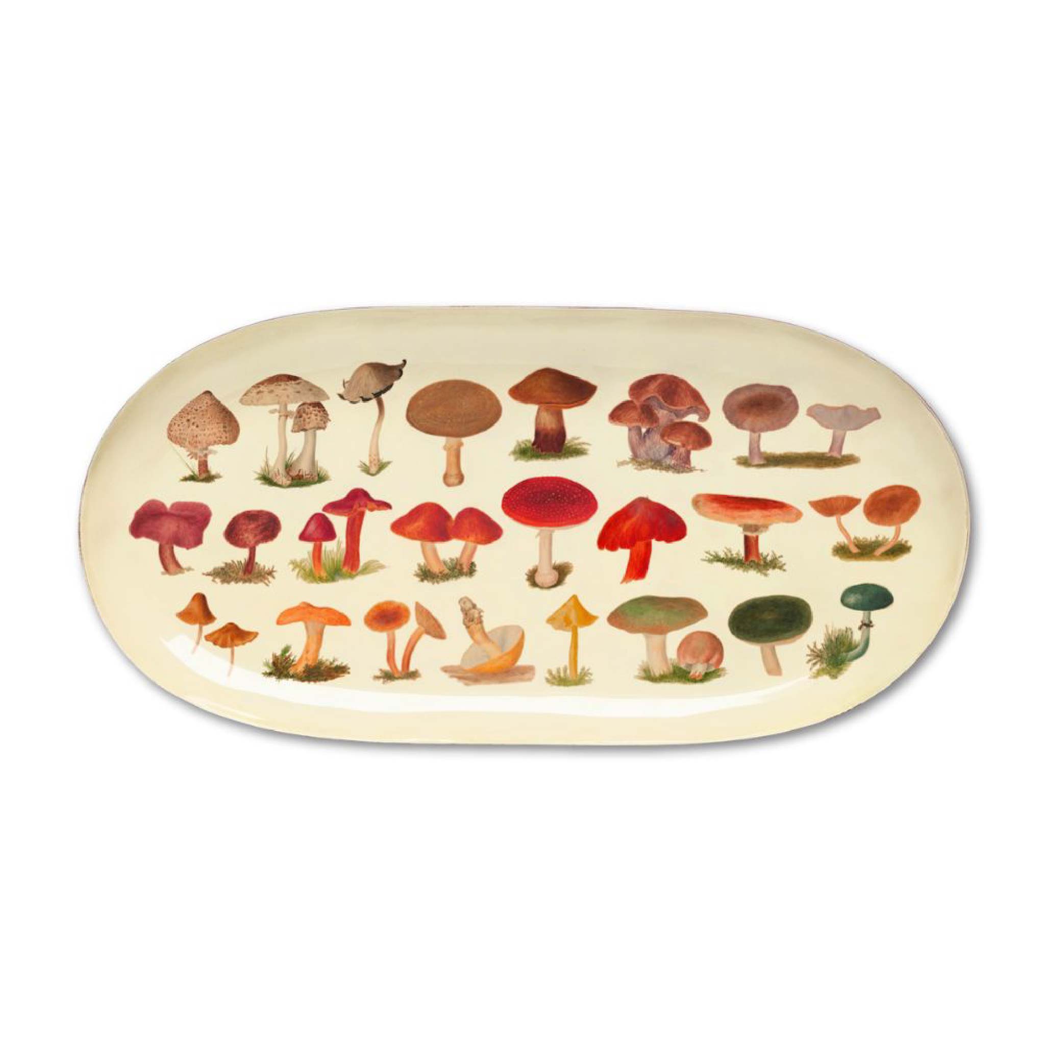 Bandejas esmaltadas ilustradas – colección botánica y simbólica