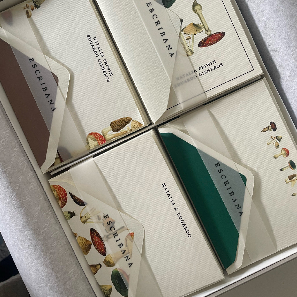 Caja Grande Luxe Morado (80 Tarjetas)