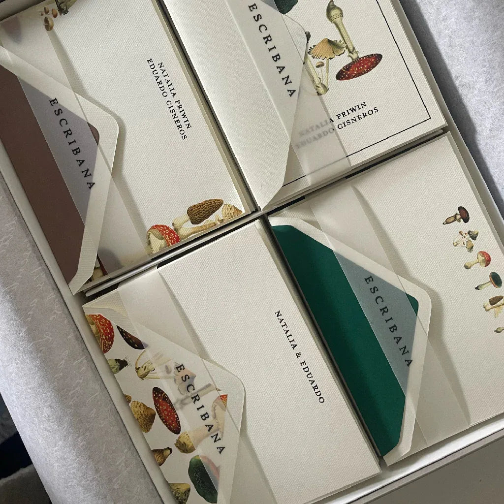 Caja Grande Luxe Blanco (80 Tarjetas)
