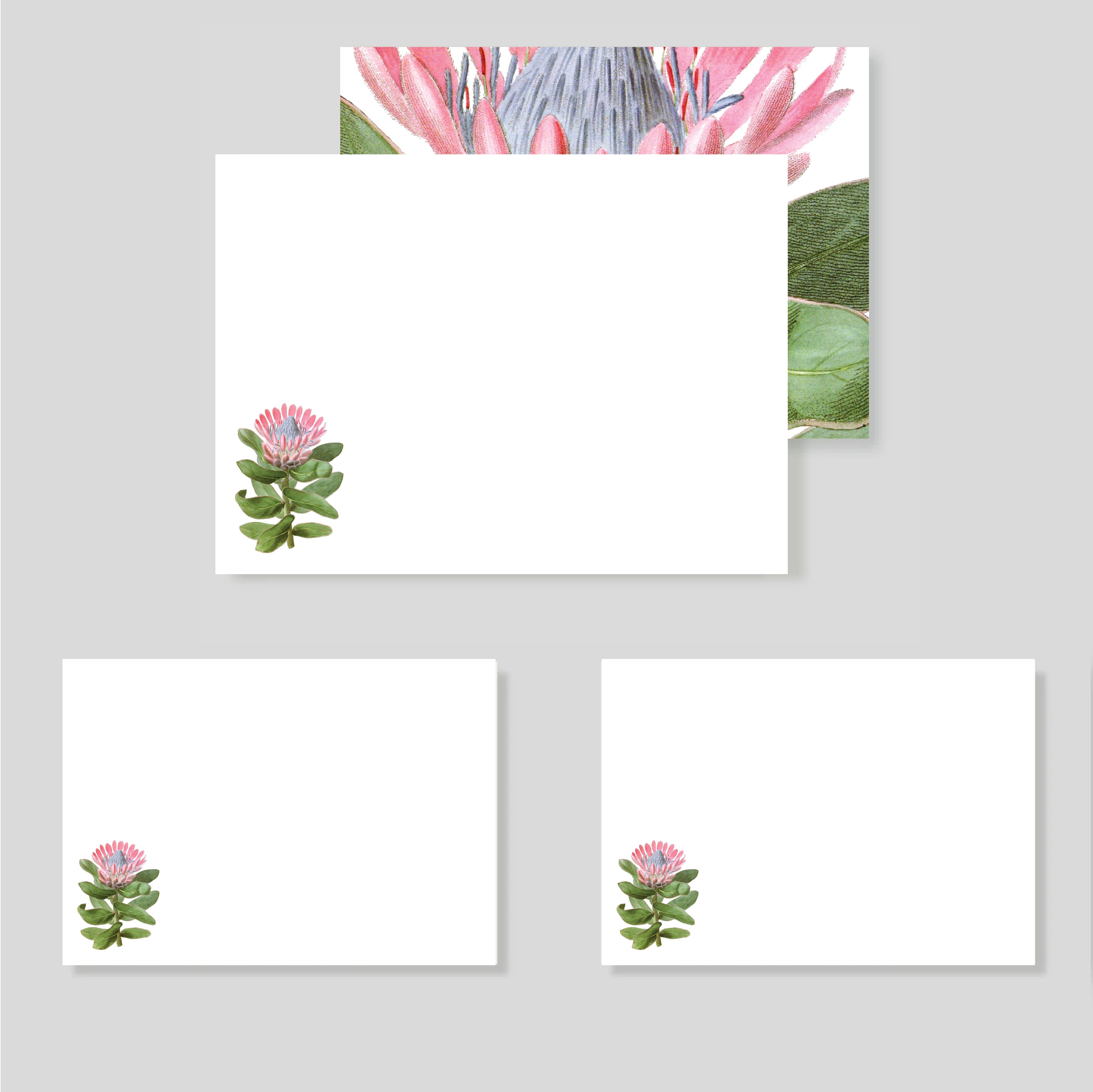 Caja flex XL Protea