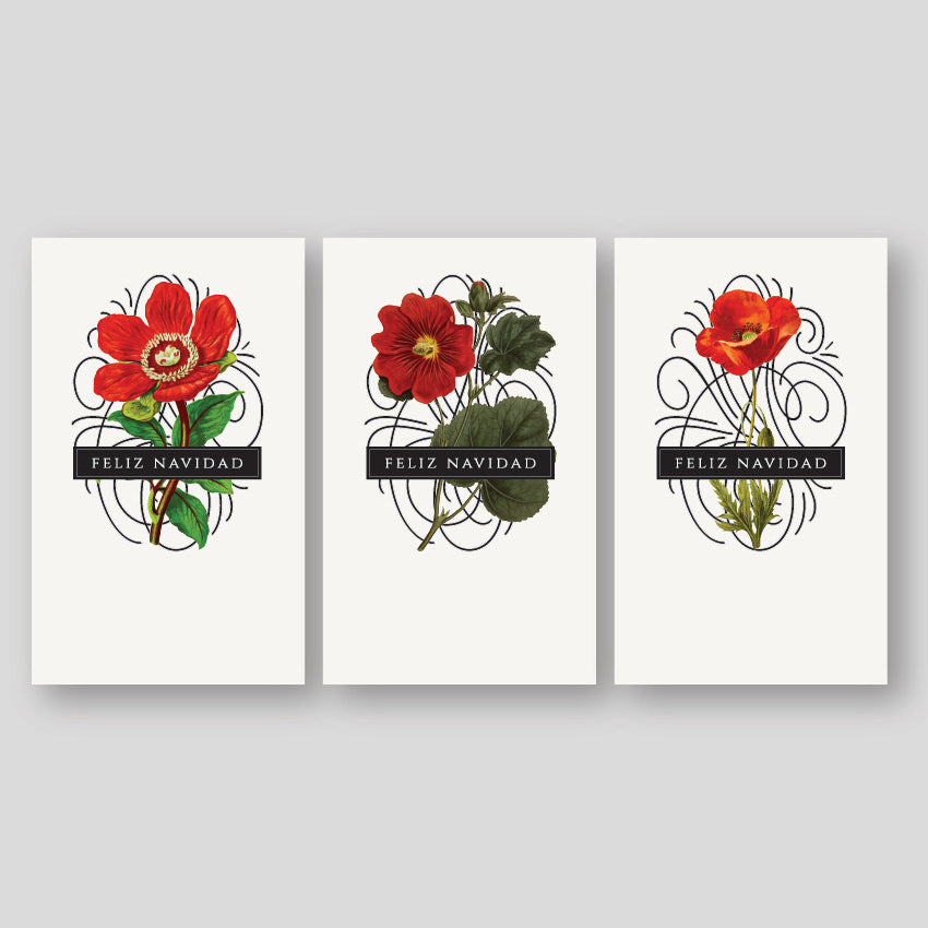 Tarjetas De / Para Navidad Flores Rojas