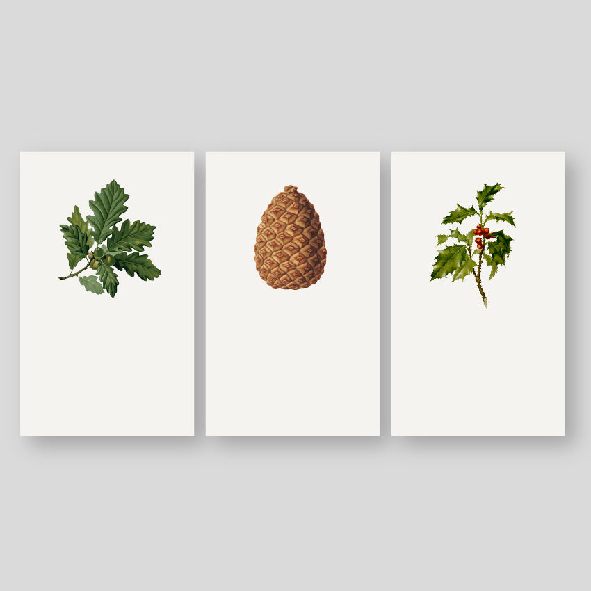 Tarjetas De / Para Navidad Forest