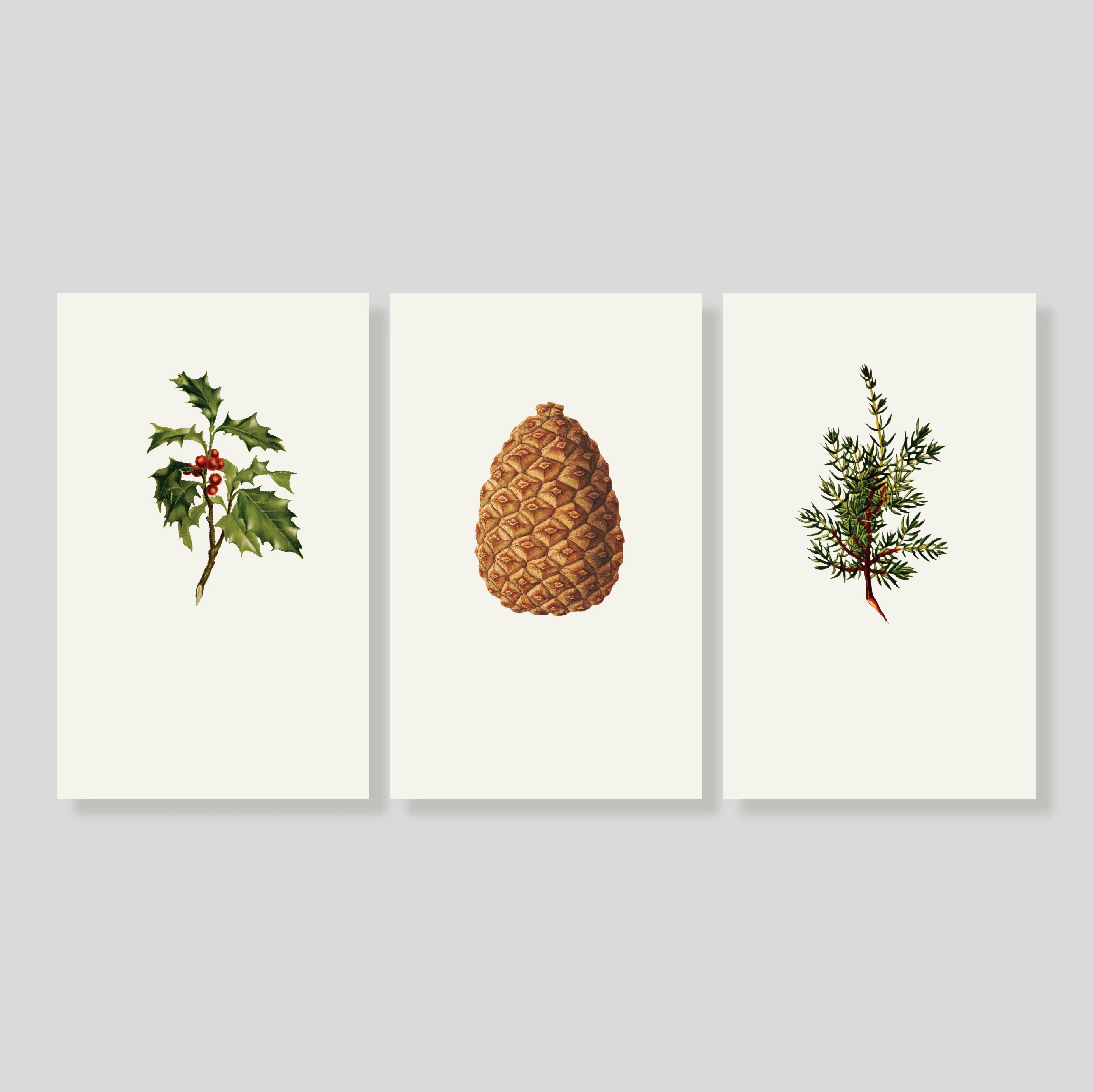 Tarjetas Holly X-MAS