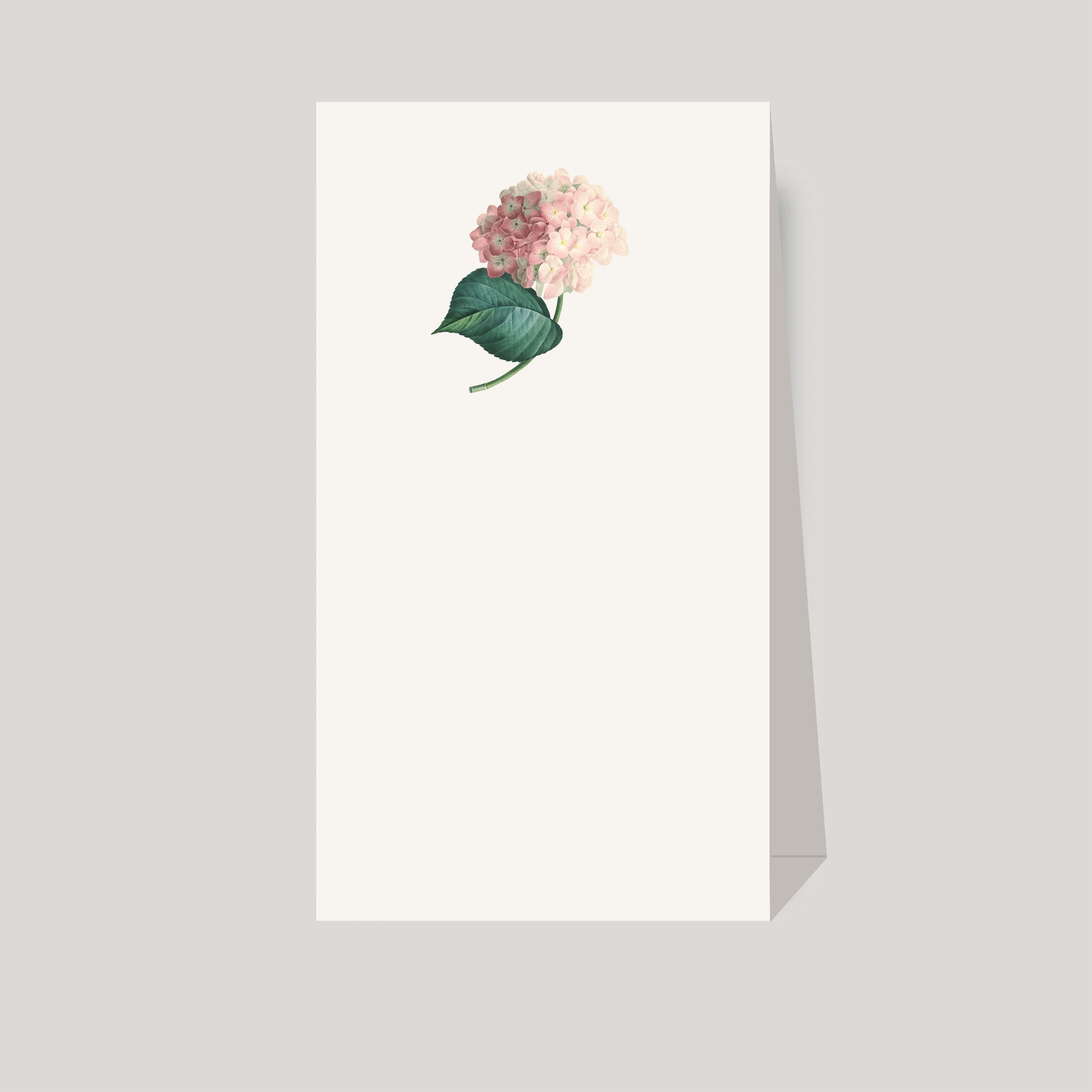 numeros de mesa Hortensia
