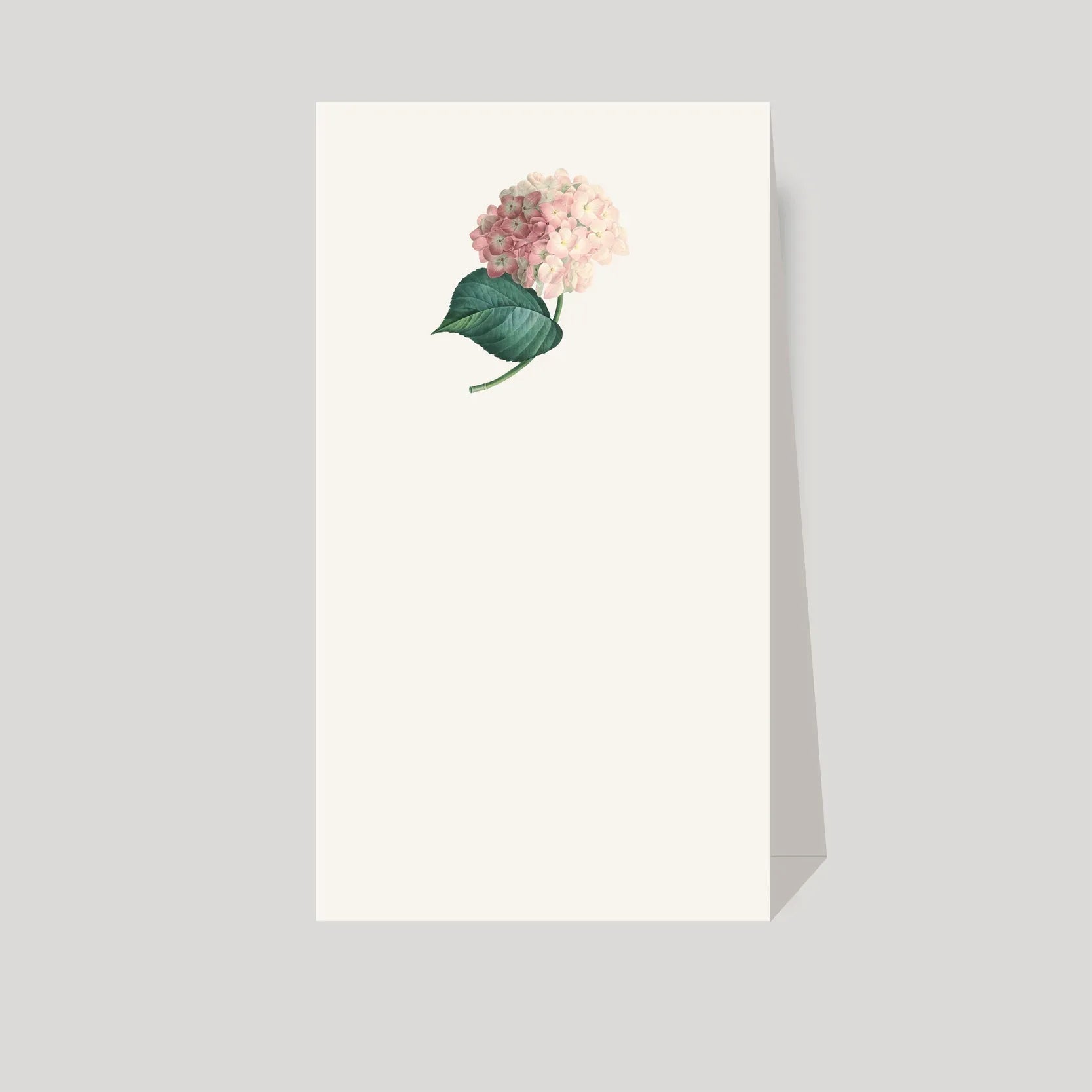 numeros de mesa Hortensia