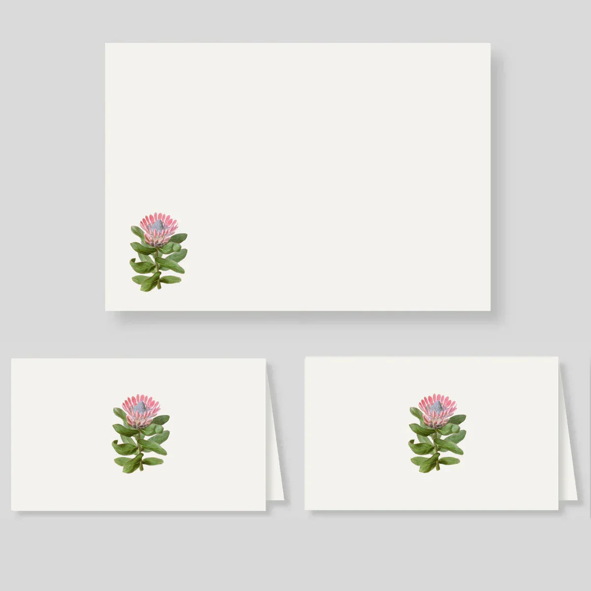 Pack tarjetón sencillo + notas dobles Protea (listos para llevar)