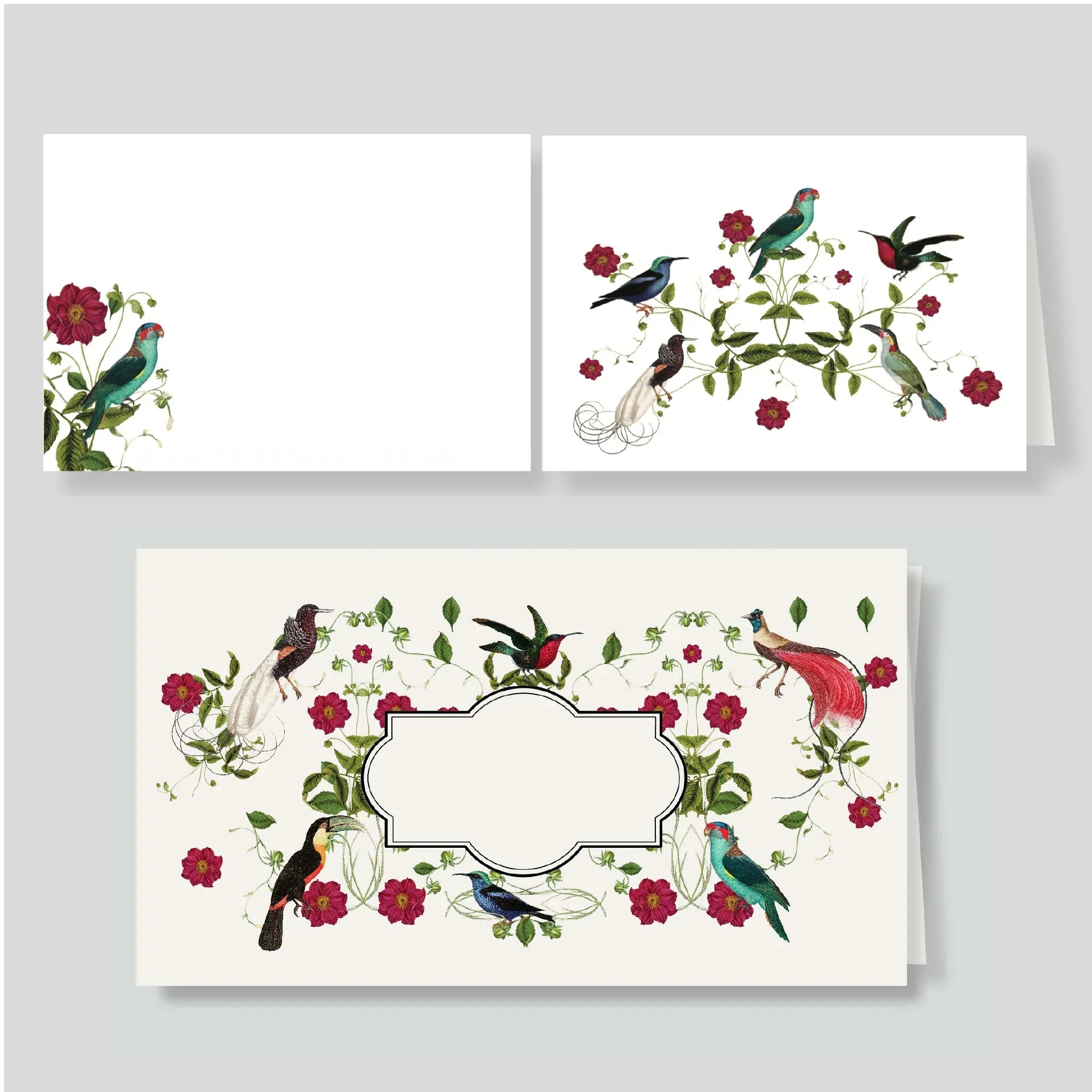 Pack lluvia Aviario (listos para llevar)