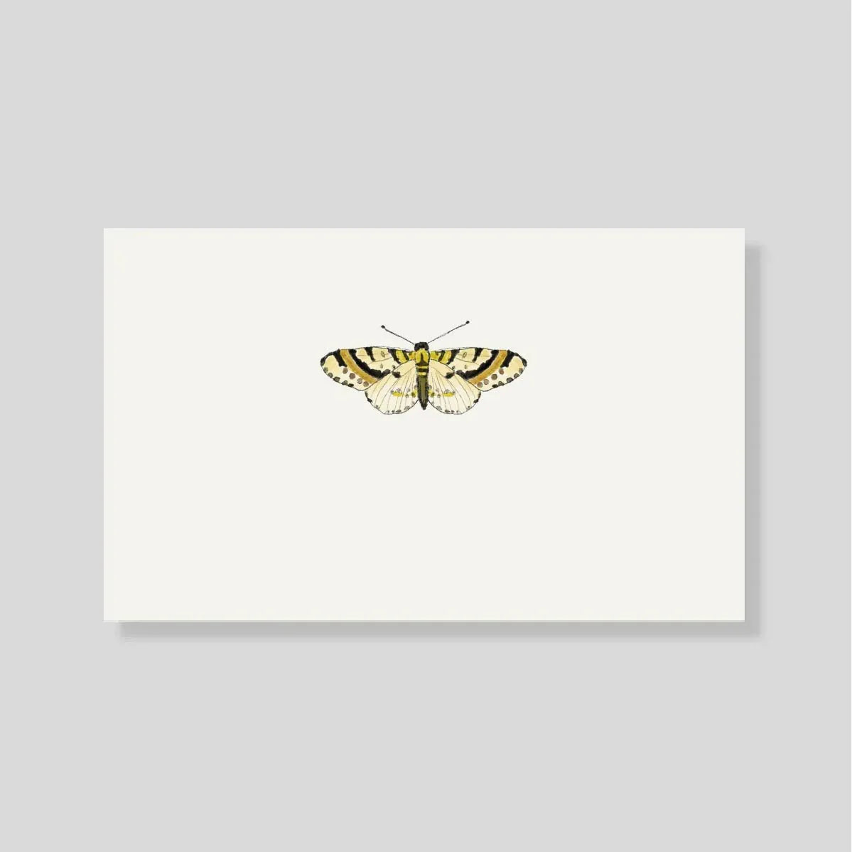 Tarjeta Personal Macondo Mariposa