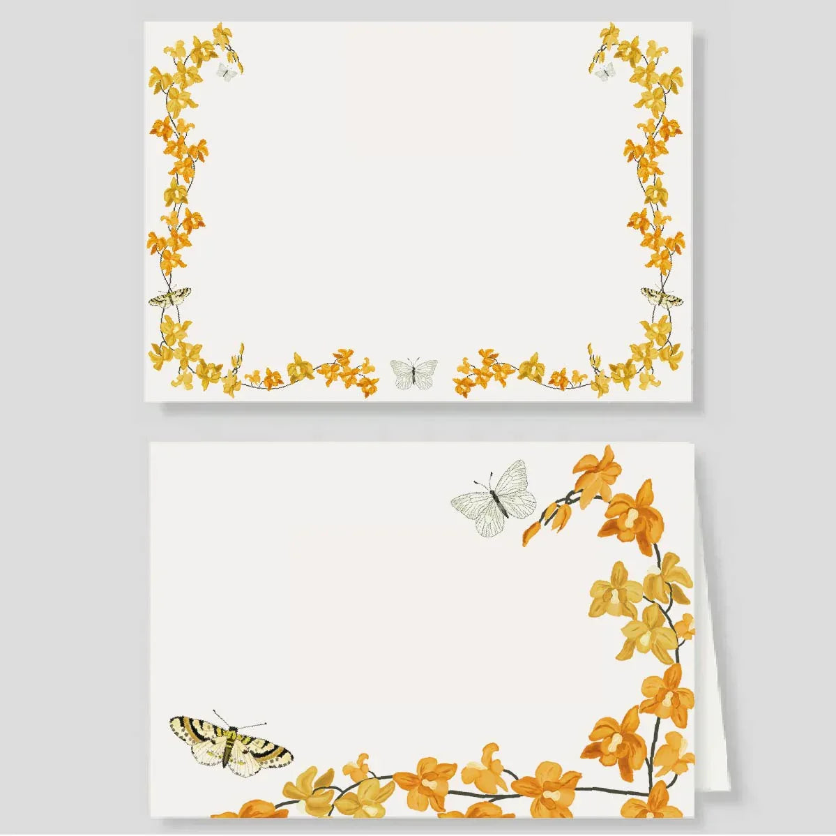 Tarjetón + Tarjetón doble Macondo