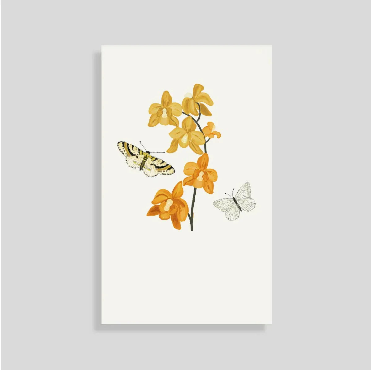 Tarjeta Personal Macondo (V) con sobre