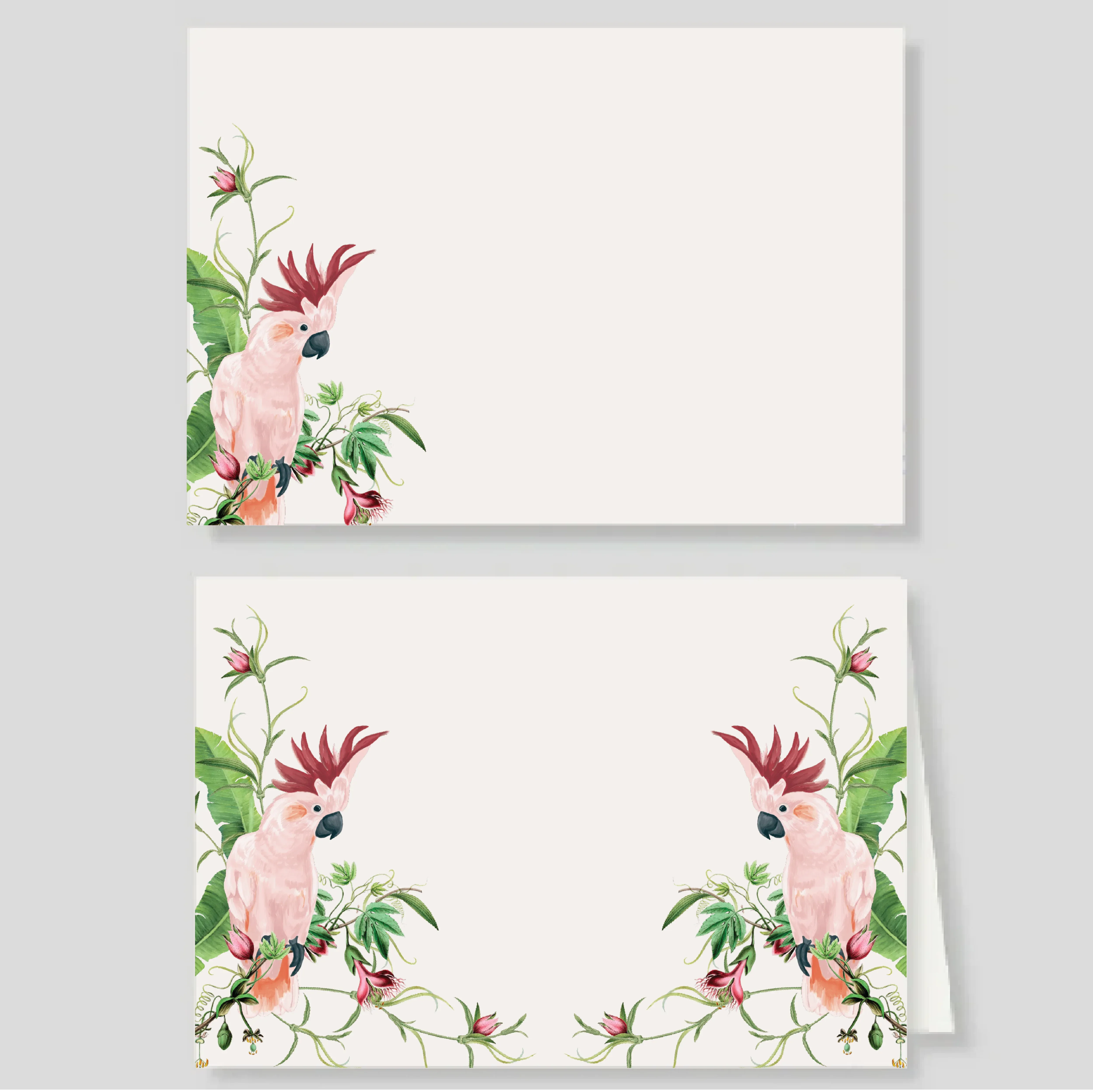 Pack tarjetón doble + sencillo Cacatua Pembe (listos para llevar)