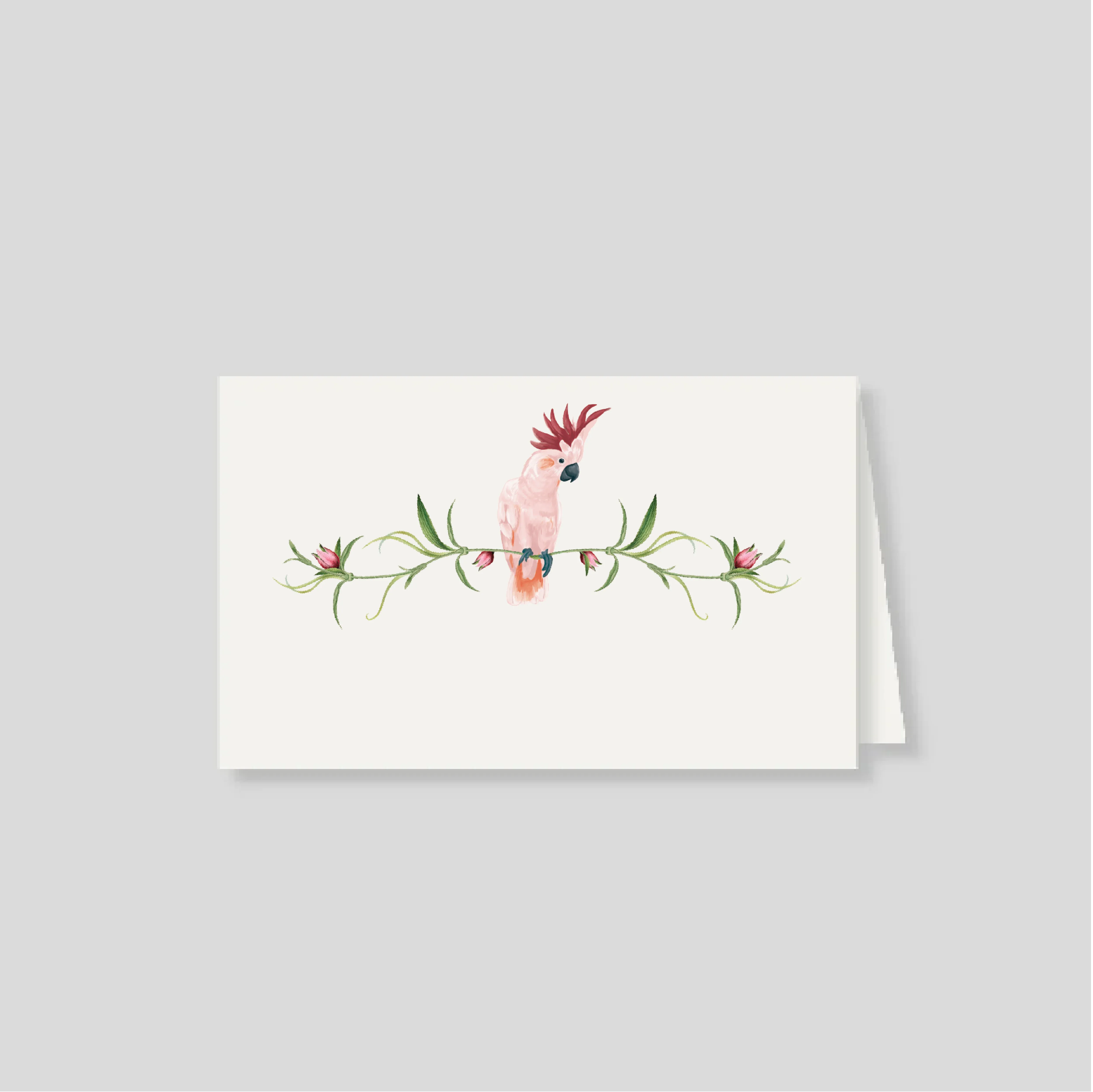 Notas dobles con sobre Cacatua Pembe (Listos para llevar)