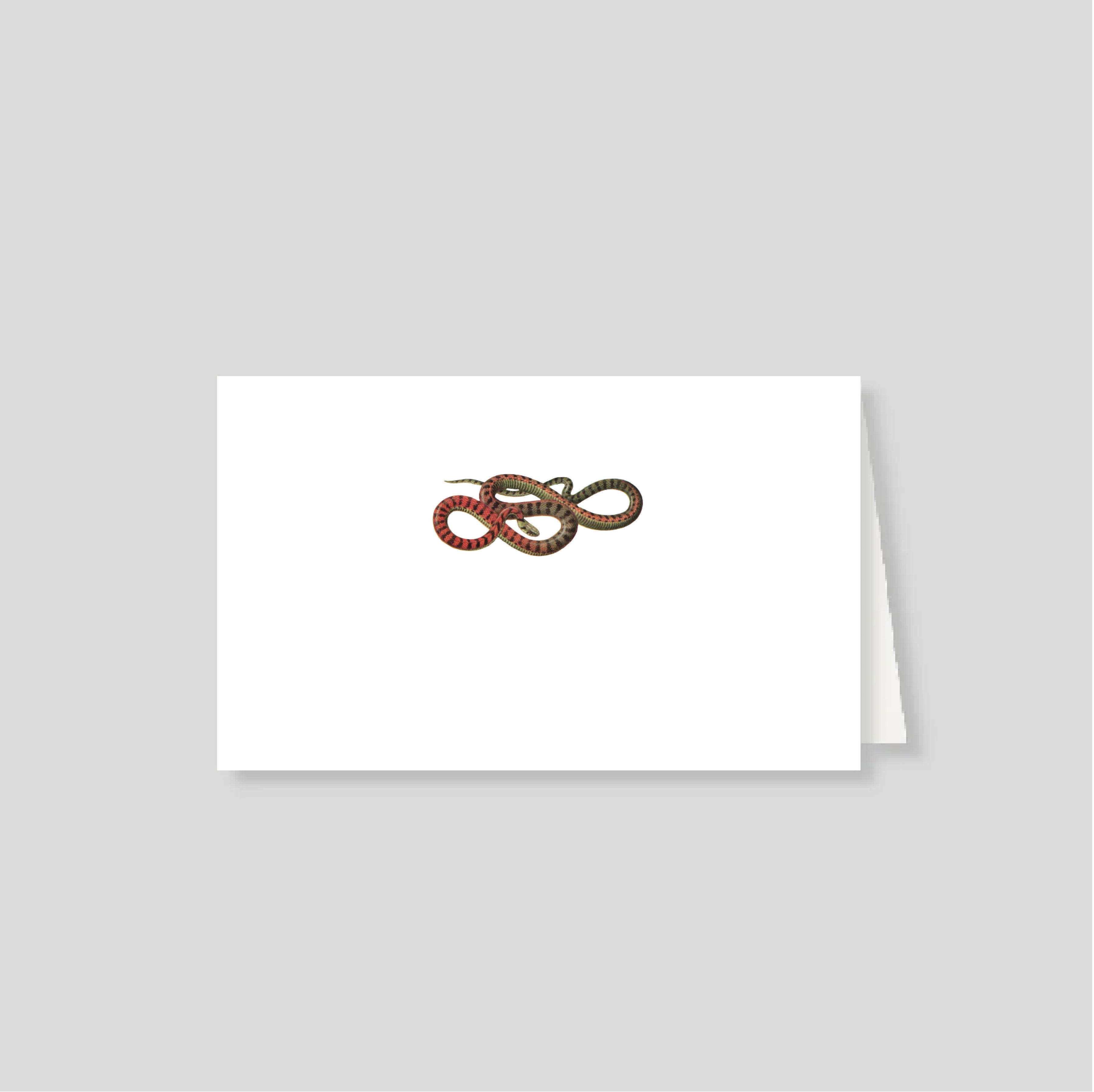 Notas dobles con sobre Culebra