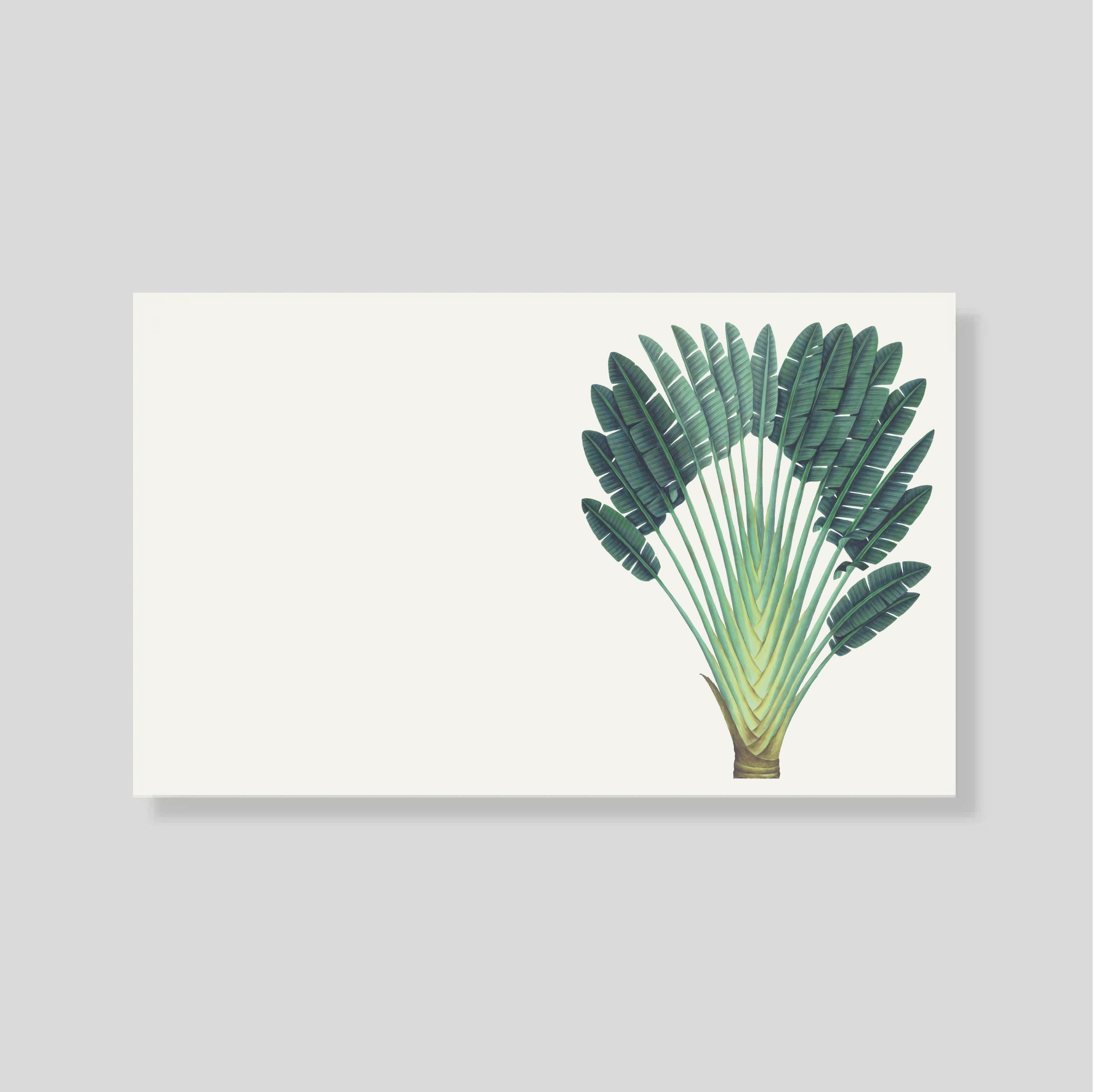 Tarjeta Personal palma con sobre (hor)