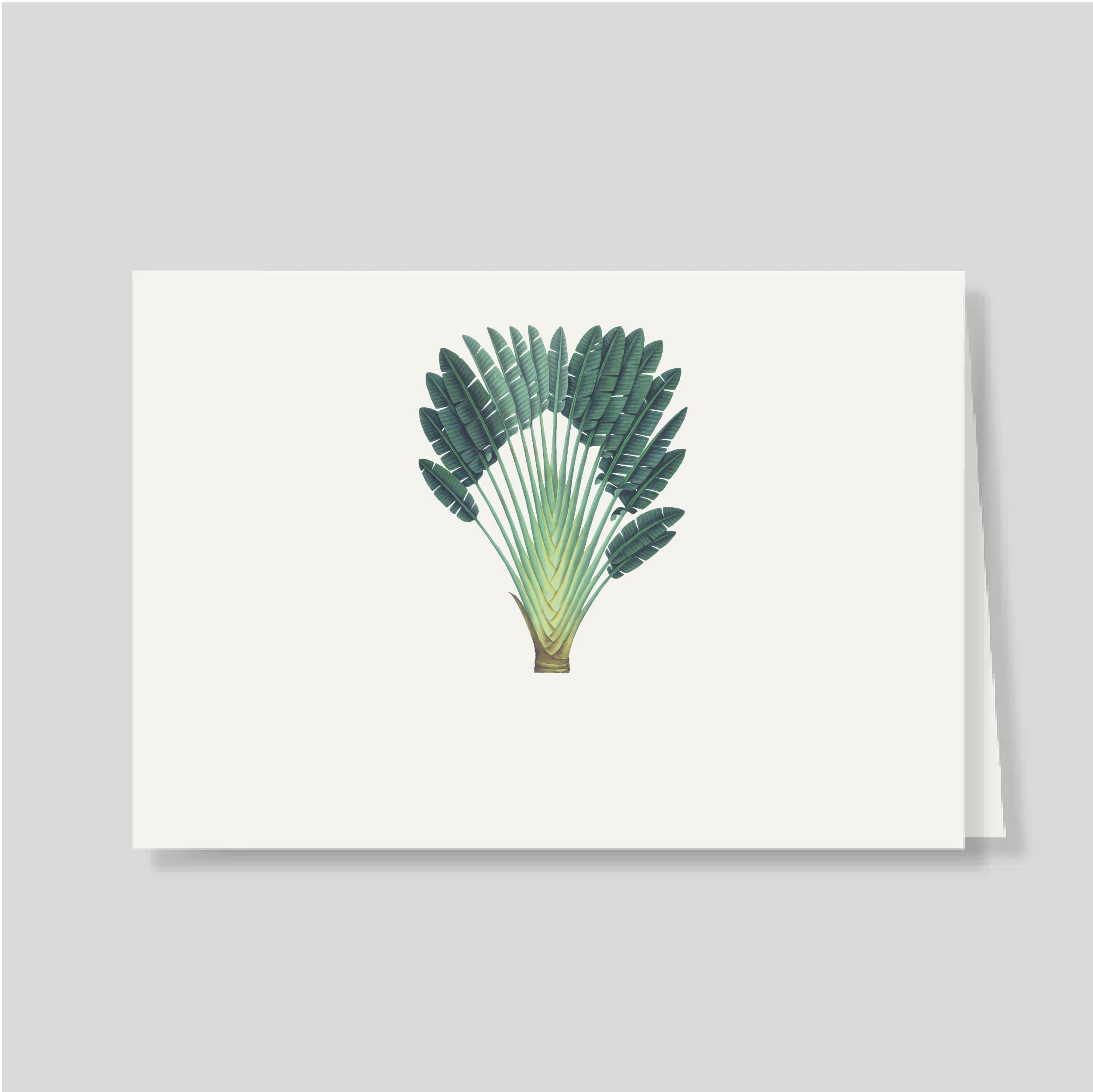 Tarjetón Doble Palma