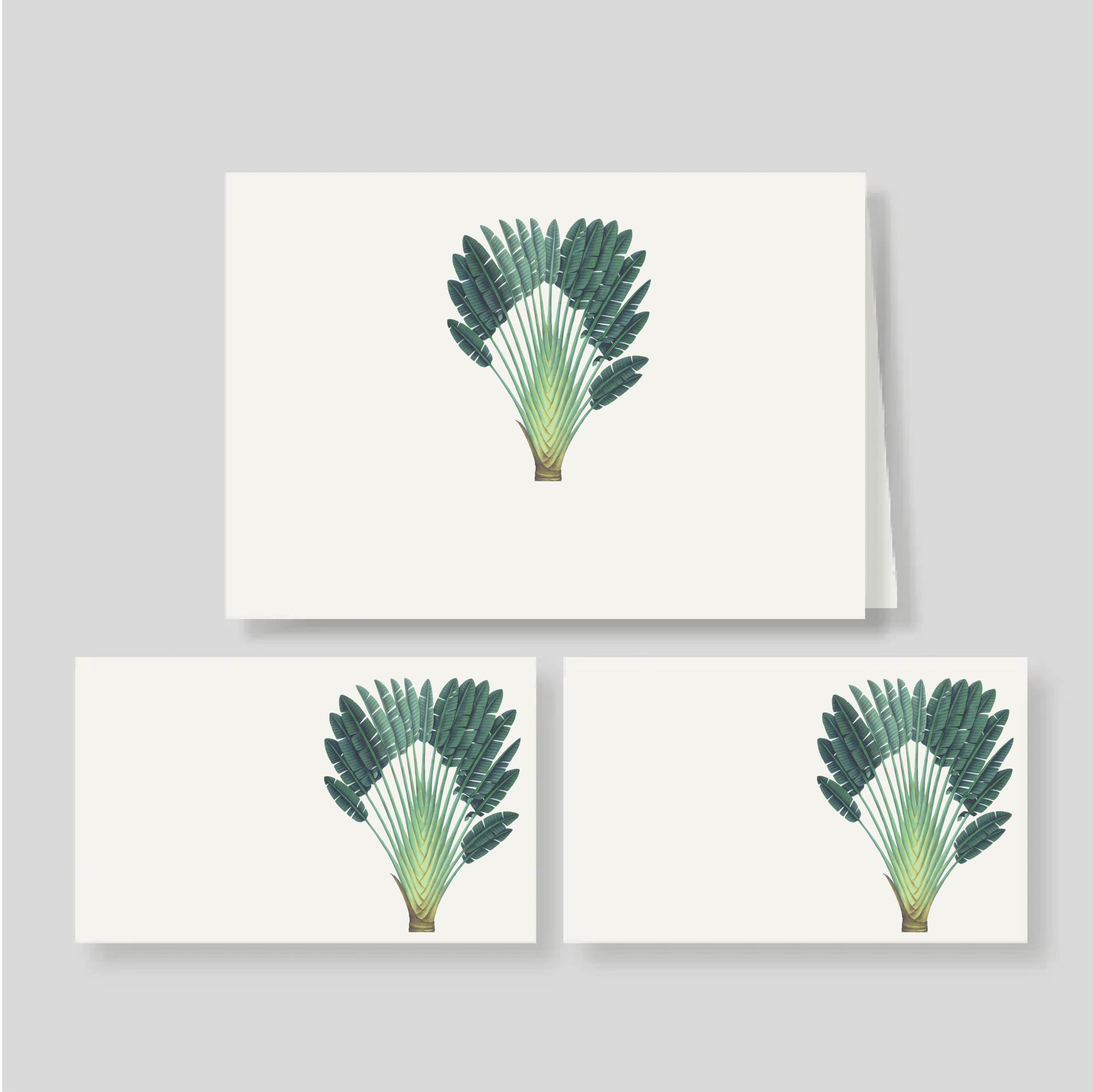 Caja Mediana Doble Palma