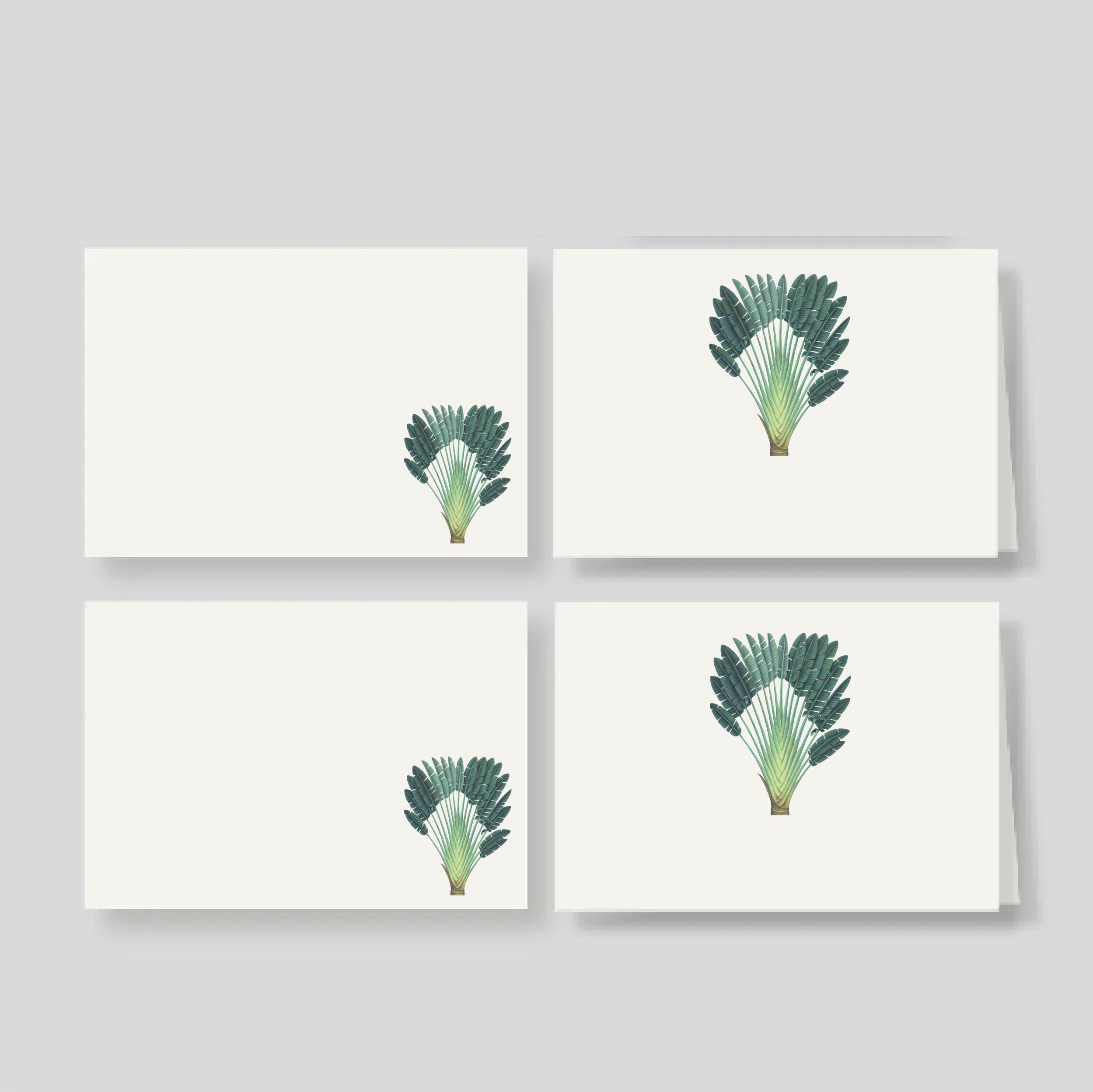 Caja Grande Luxe Palma (80 Tarjetas)