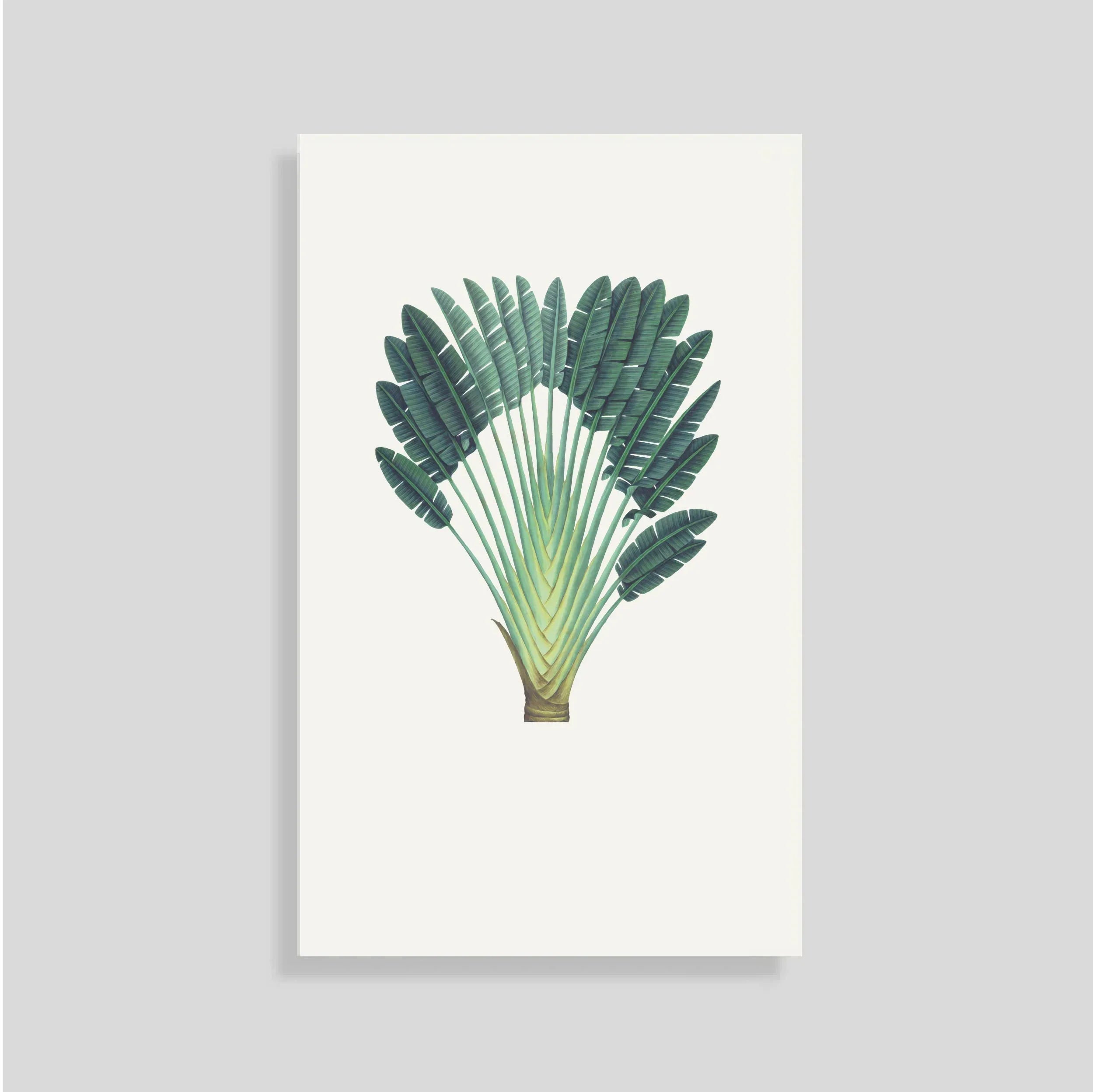 Tarjeta Personal Palma (ver)