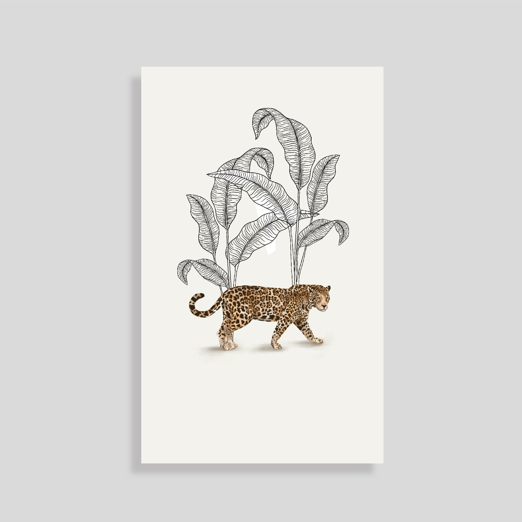 Tarjeta Personal Selva V