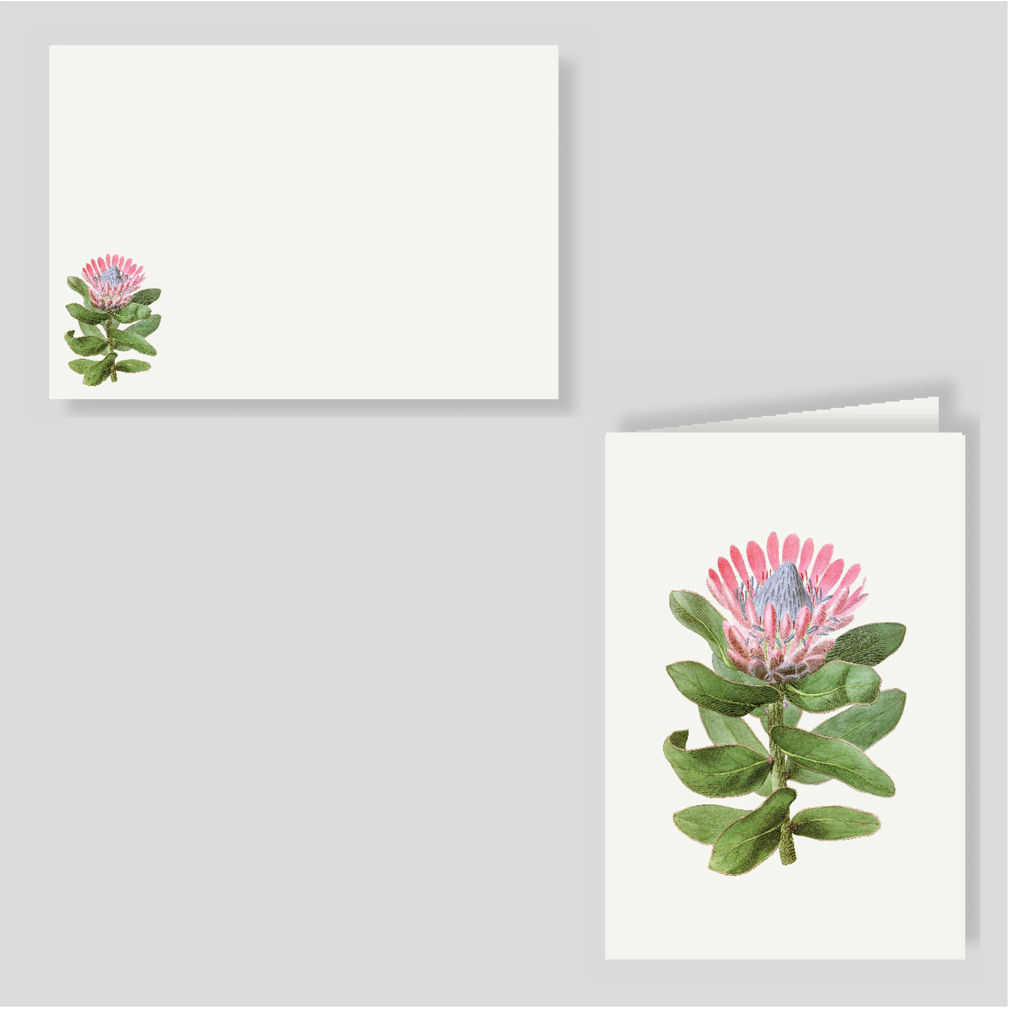 Tarjetón + Tarjetón doble Protea