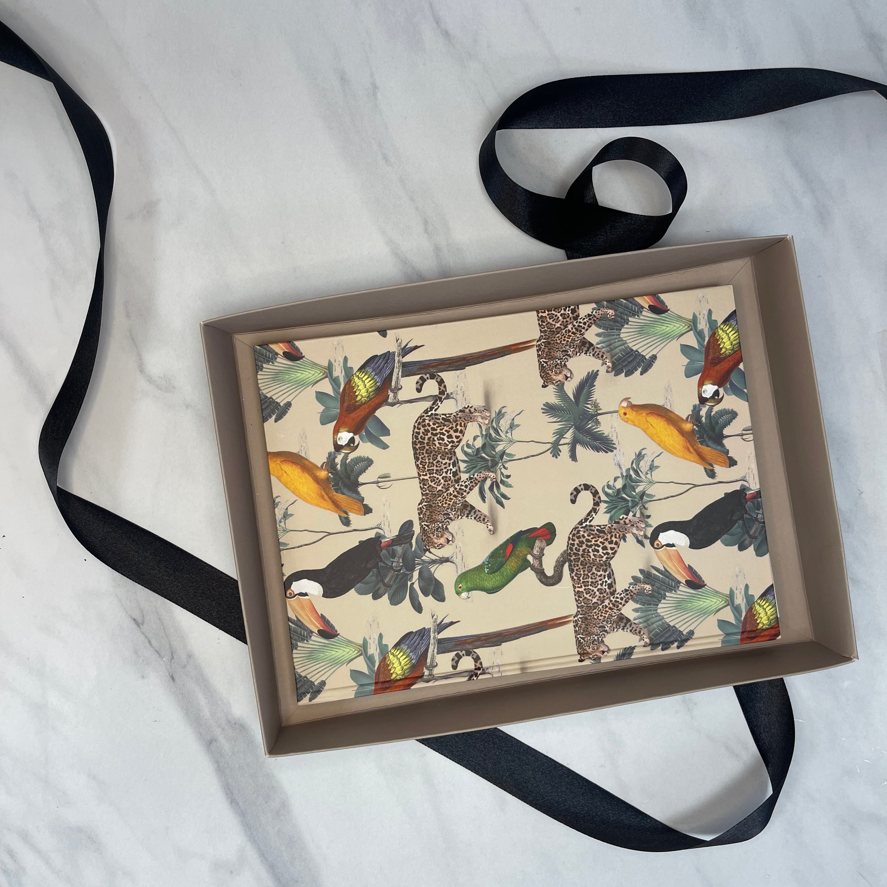 Pack grande cuaderno Amazonas