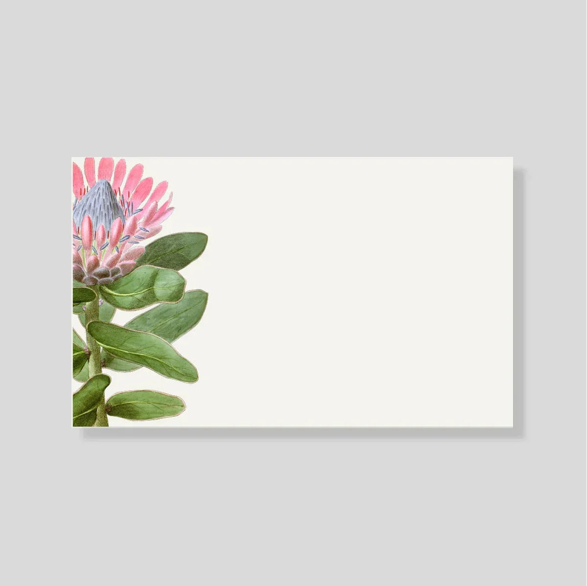 Tarjeta Personal Protea (H) con sobre