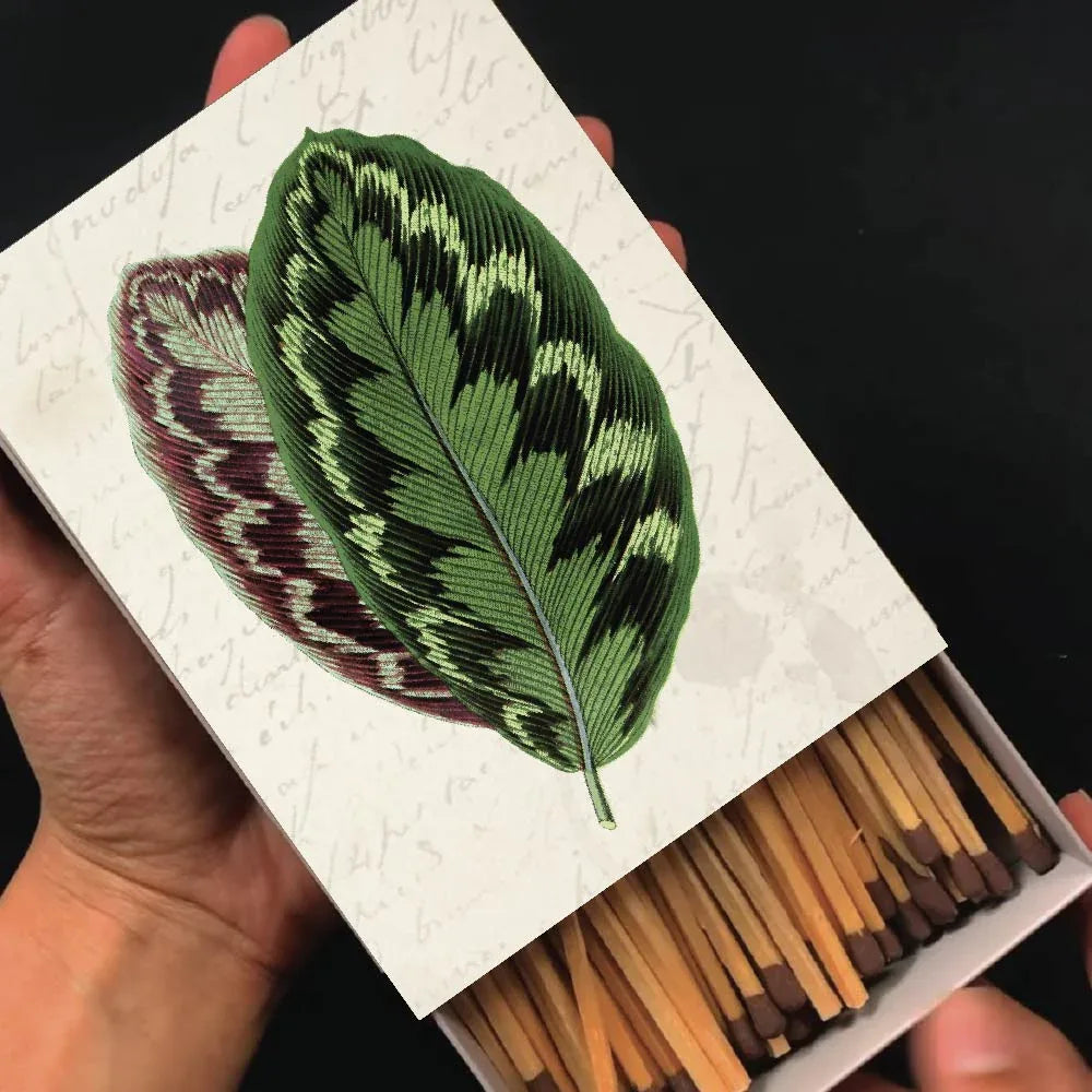 Caja de Fosforos HOJA VERDE