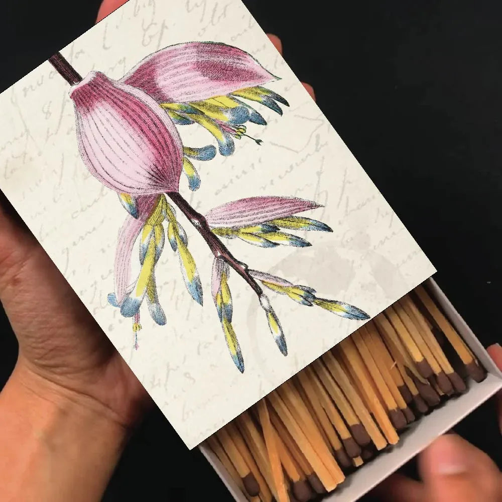 Caja de Fosforos Bromelia