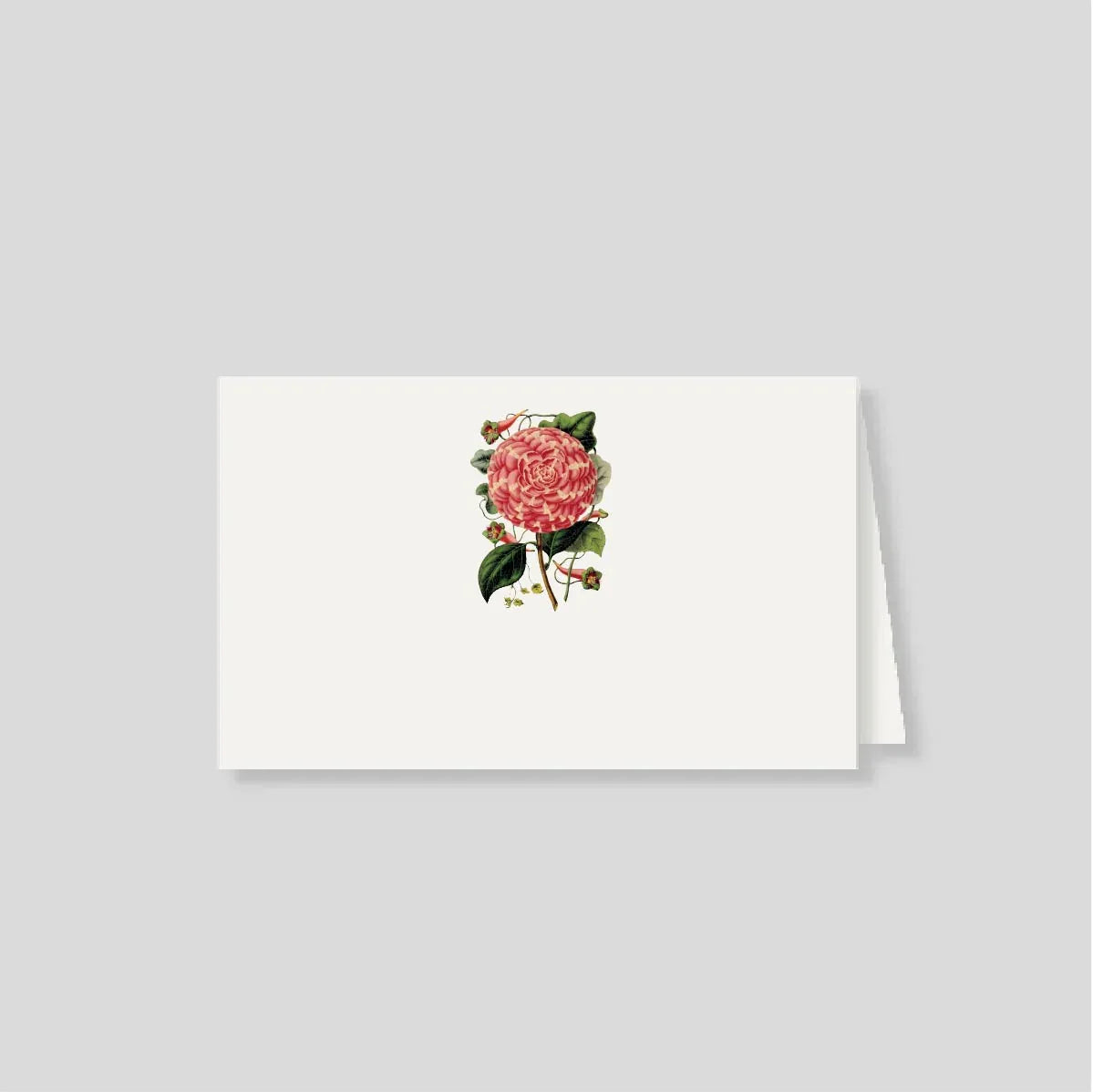 Notas dobles con sobre Rosa de Jardin