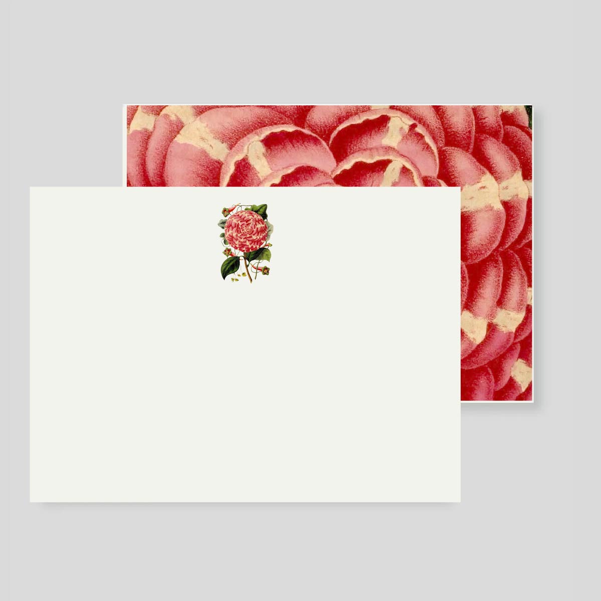 TARJETON XL ROSA DE JARDIN