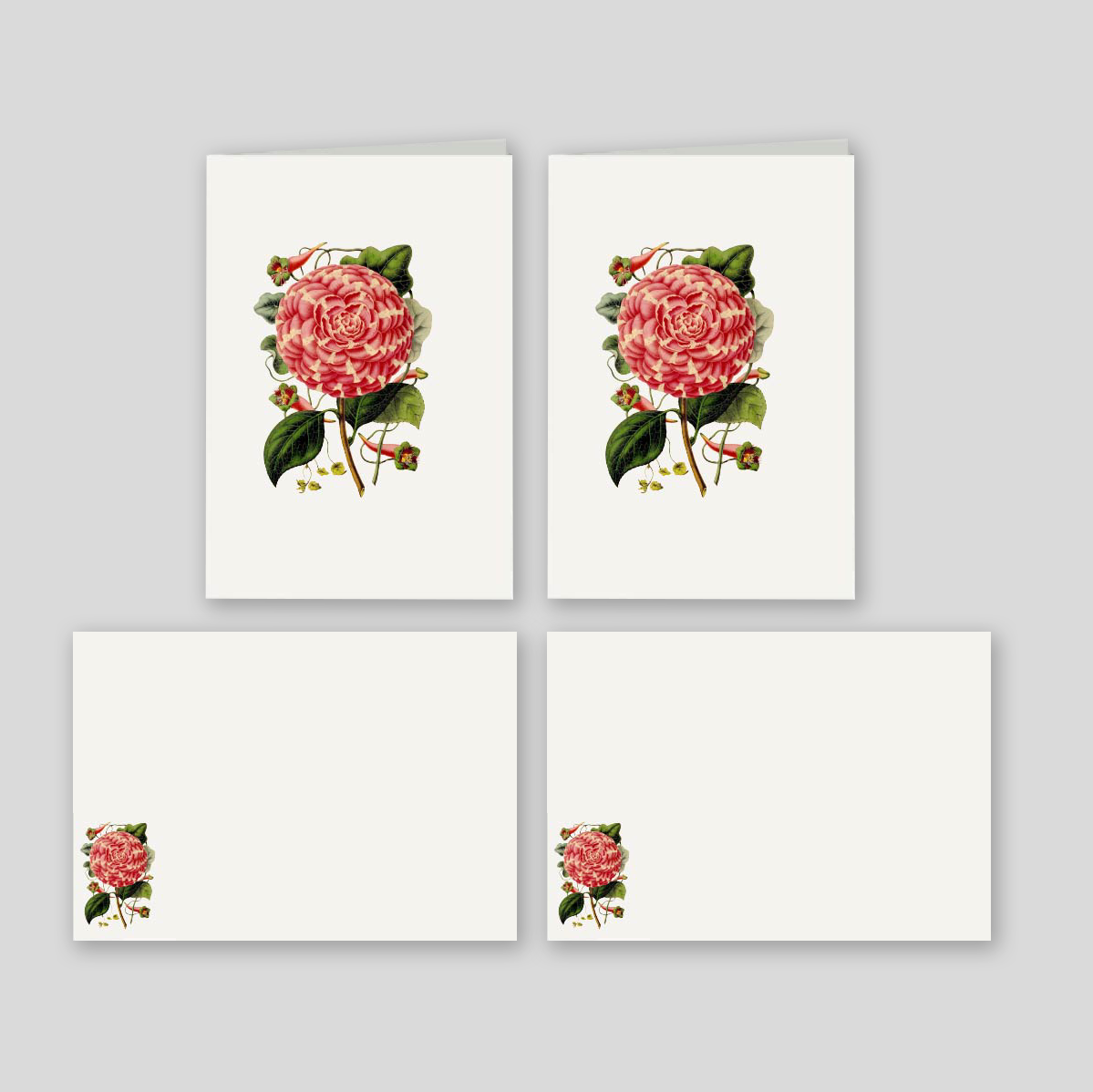 Caja Grande Luxe Rosa de Jardín (80 Tarjetas)