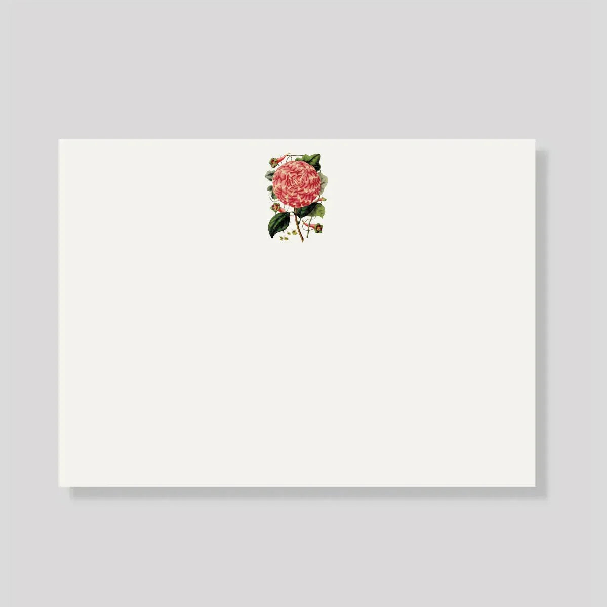 TARJETON XL camelia