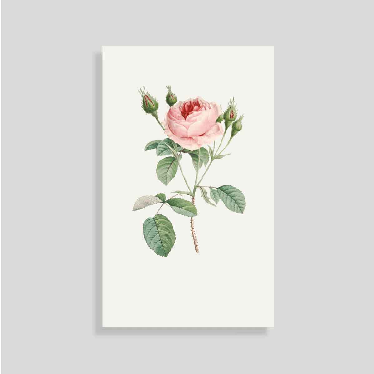 Tarjeta Personal Rosa (vert)