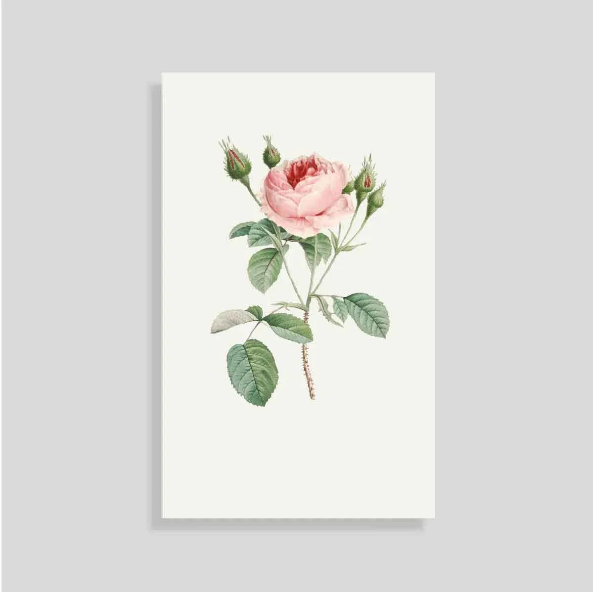 Tarjeta Personal Rosa (vert)